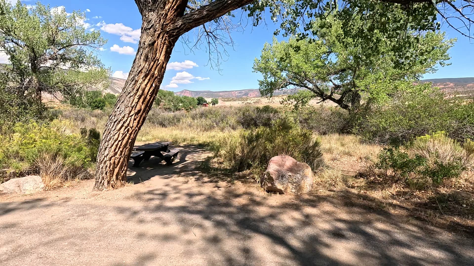 Site 75