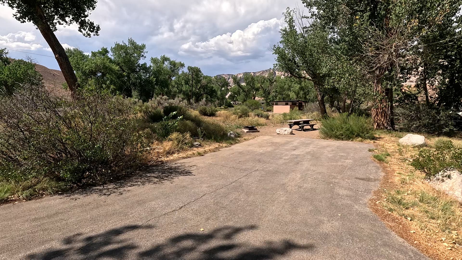 Site 42
