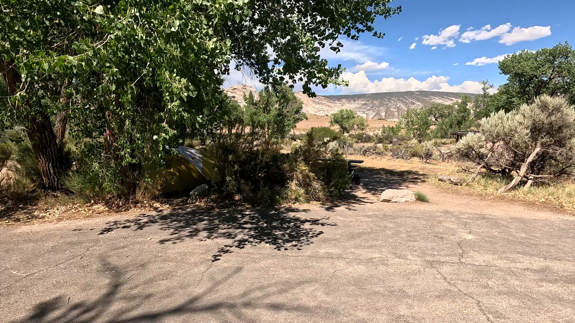 Site 46