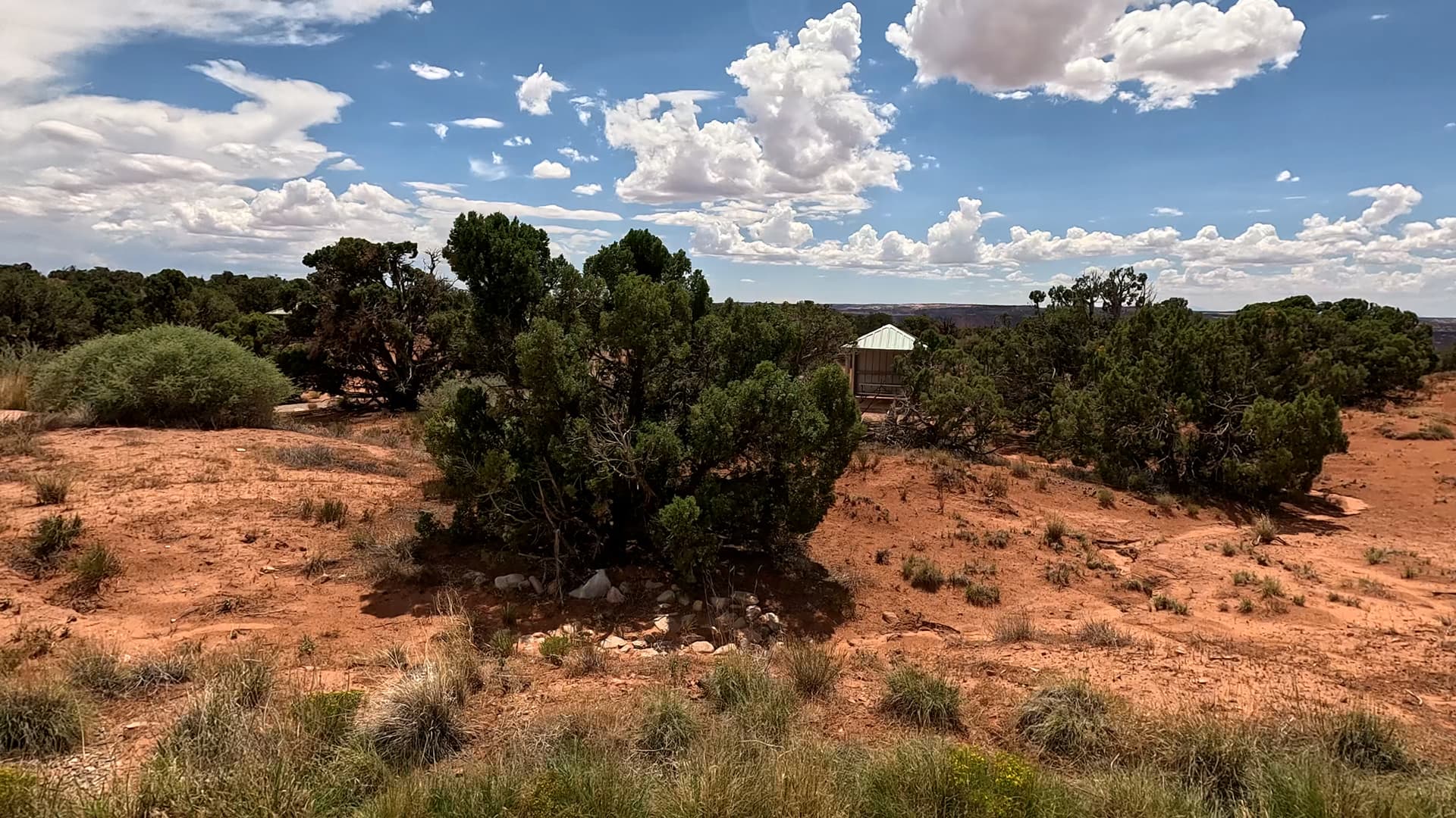 Site 36