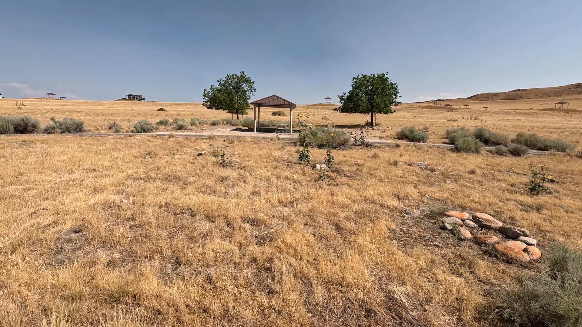 Site 24