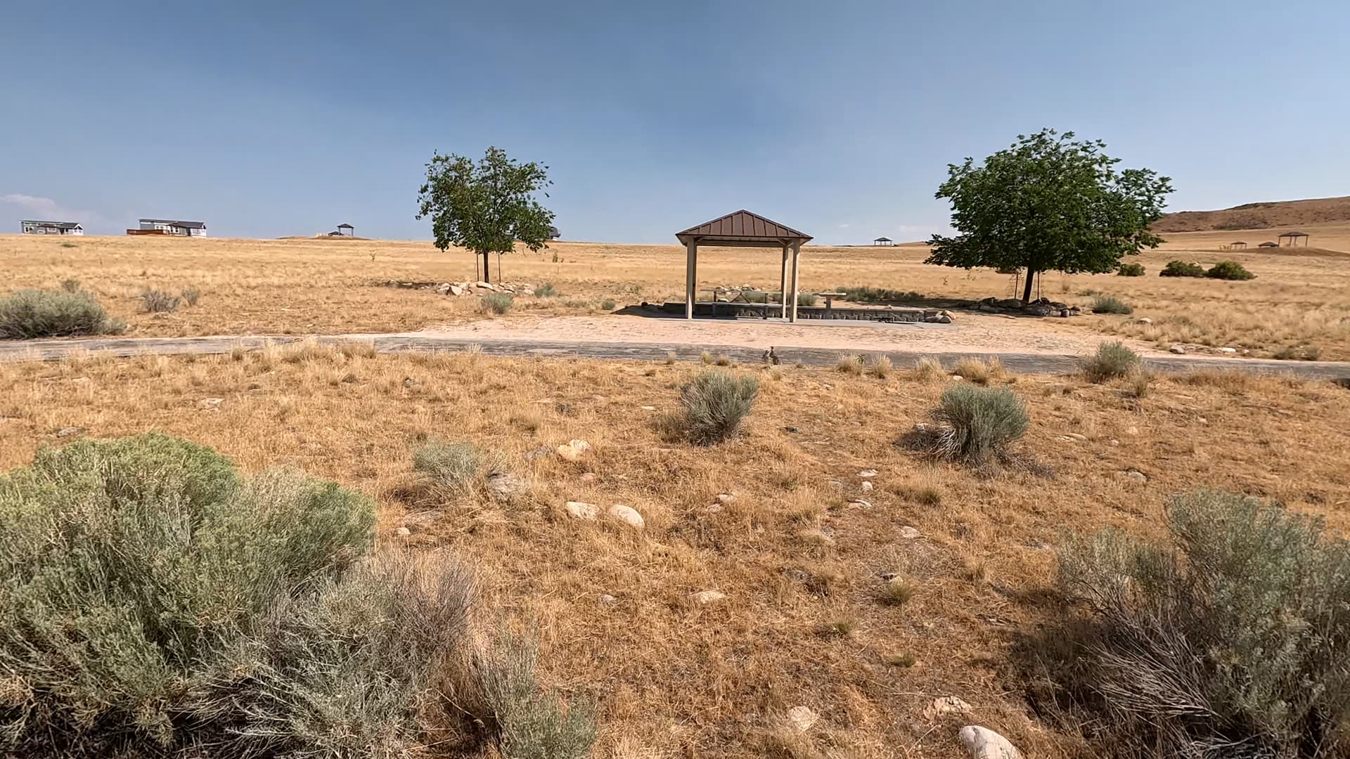 Site 26