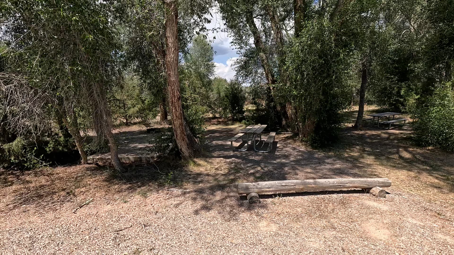 Site 5