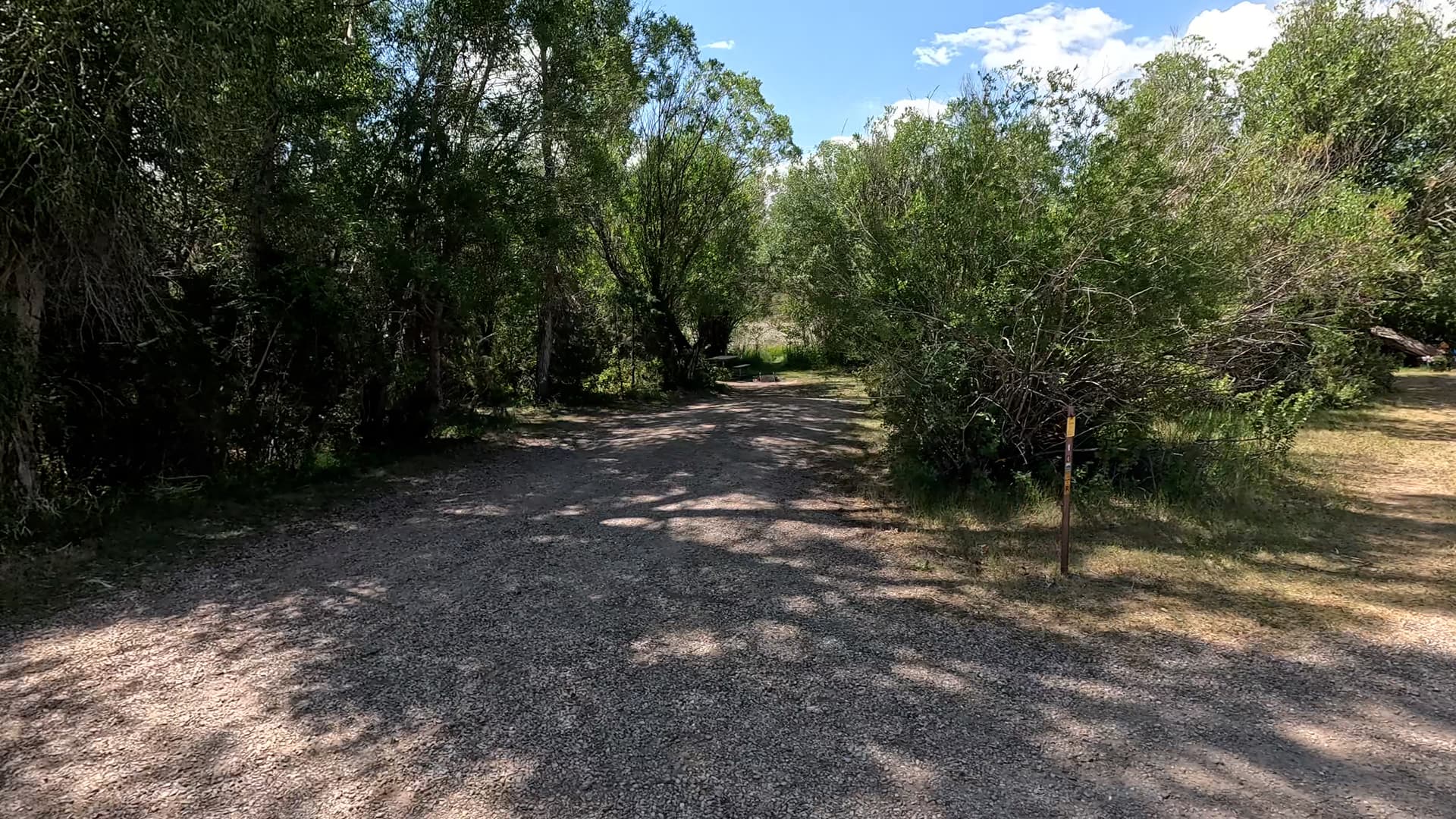 Site 6