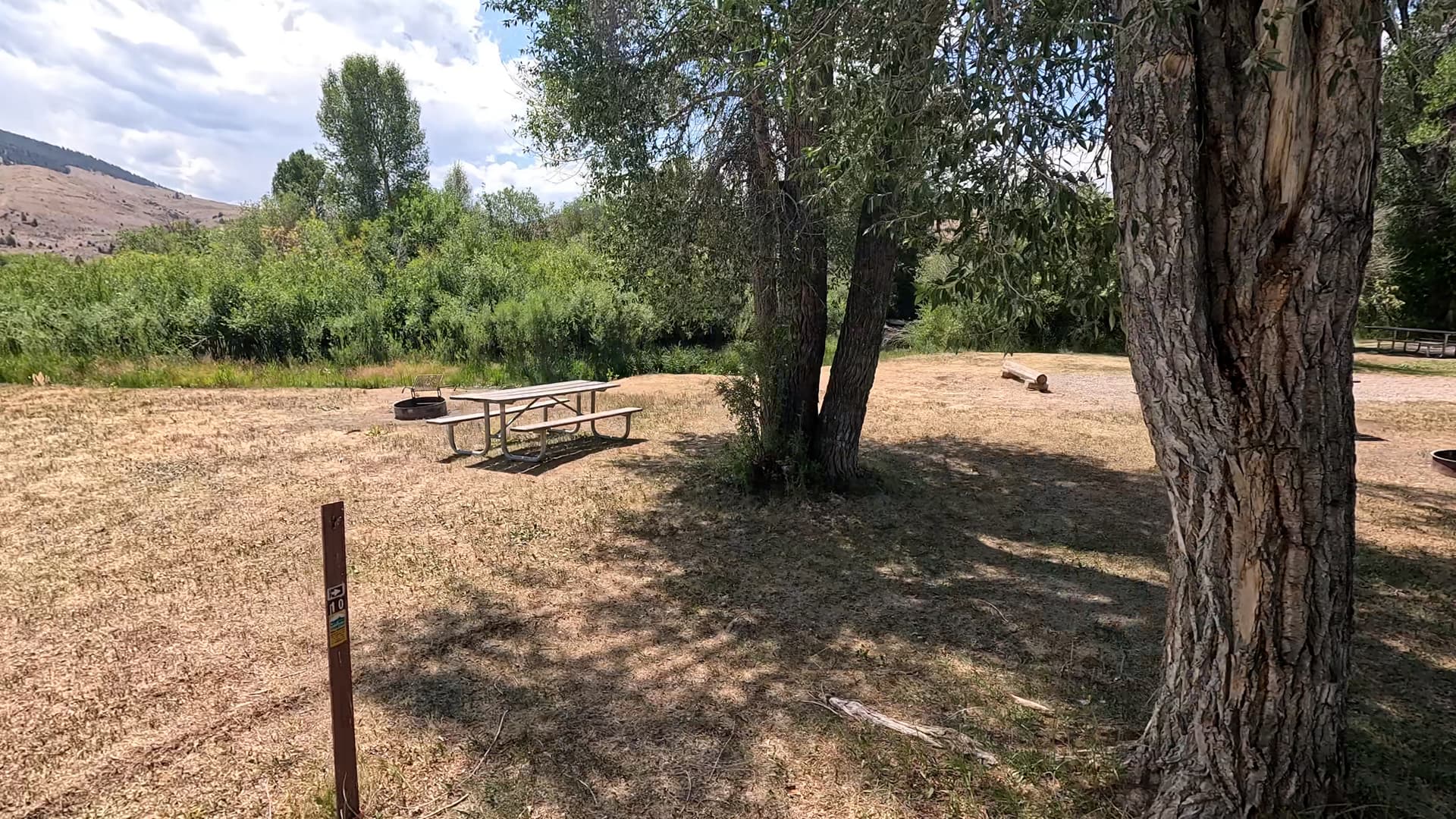 Site 10