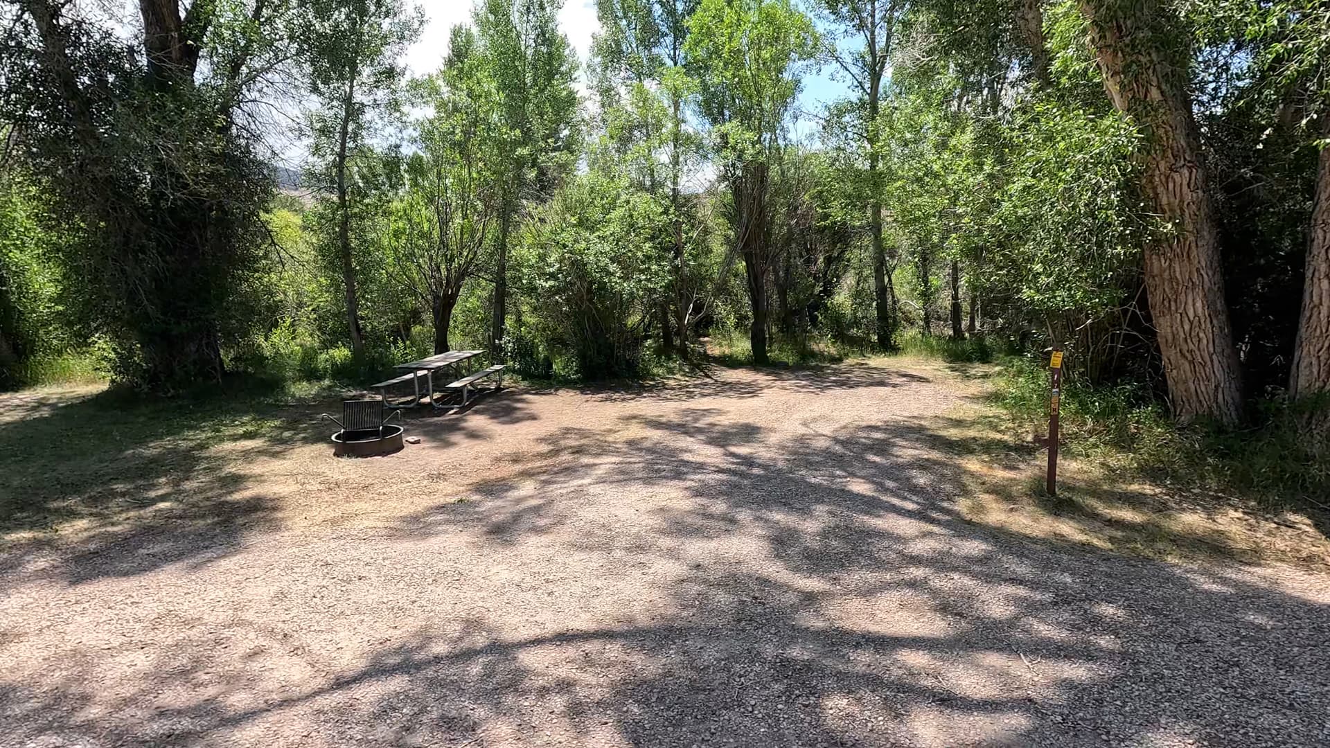 Site 7