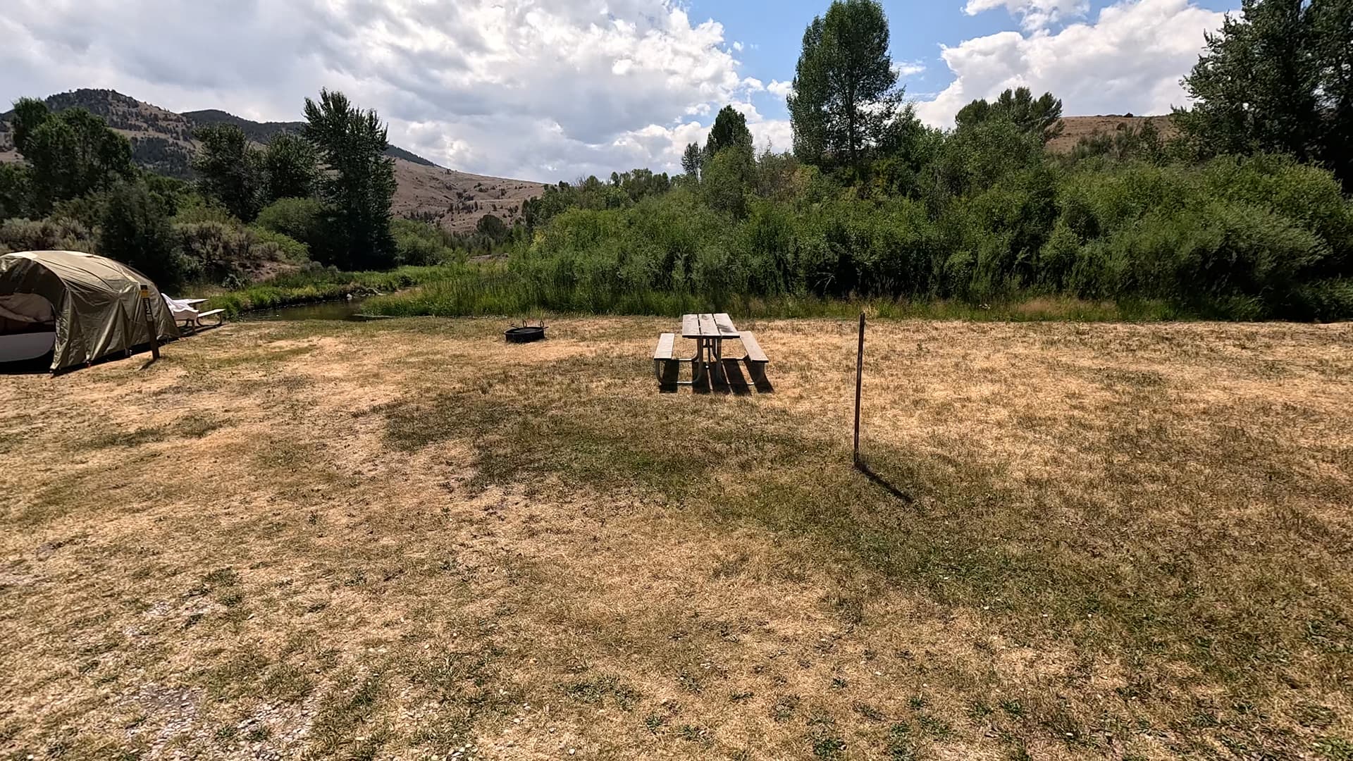 Site 11