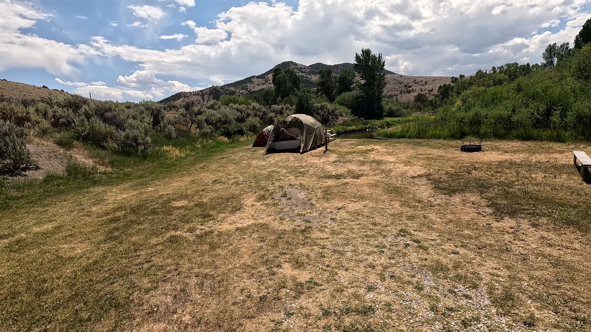 Site 12