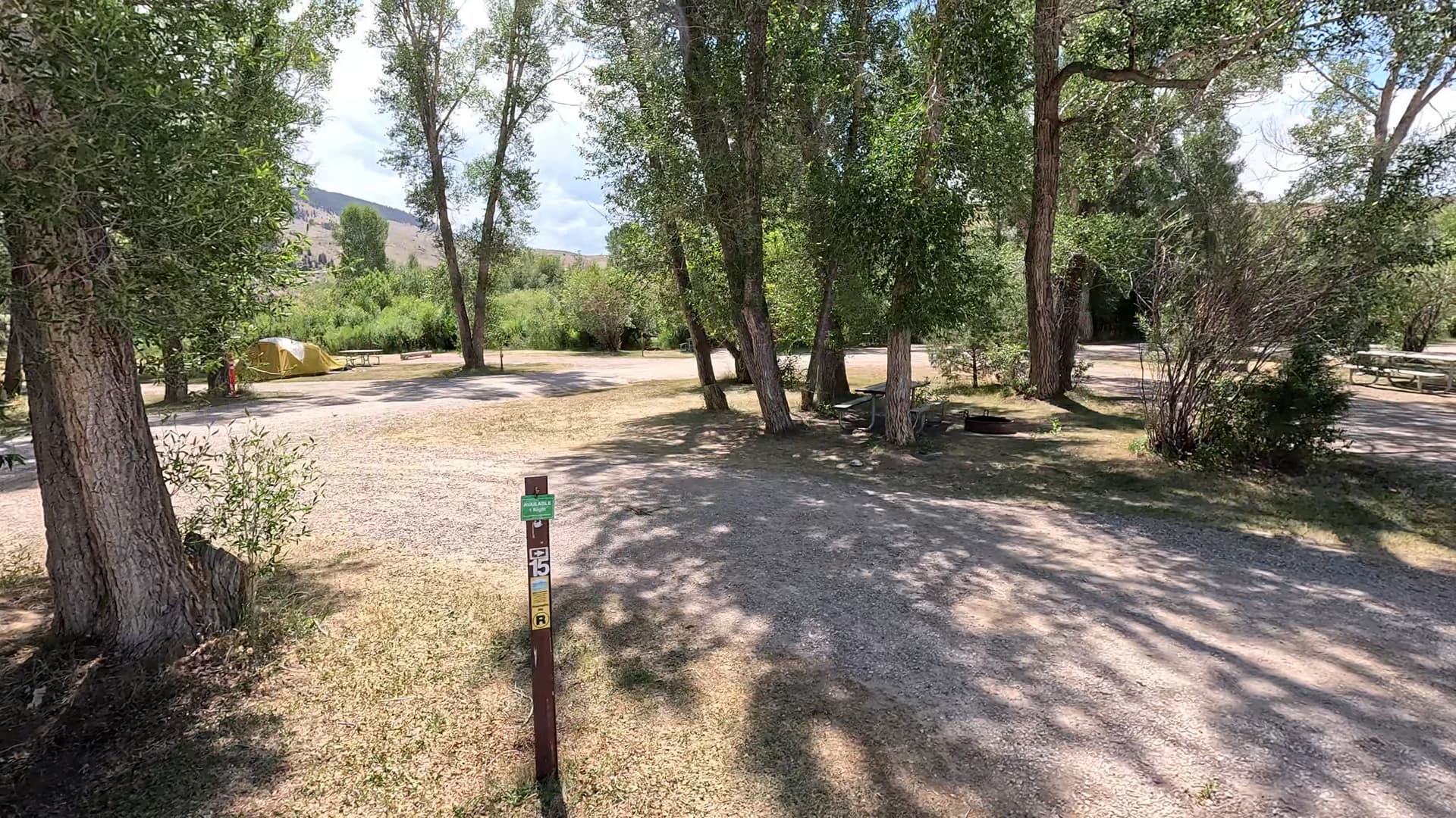 Site 15