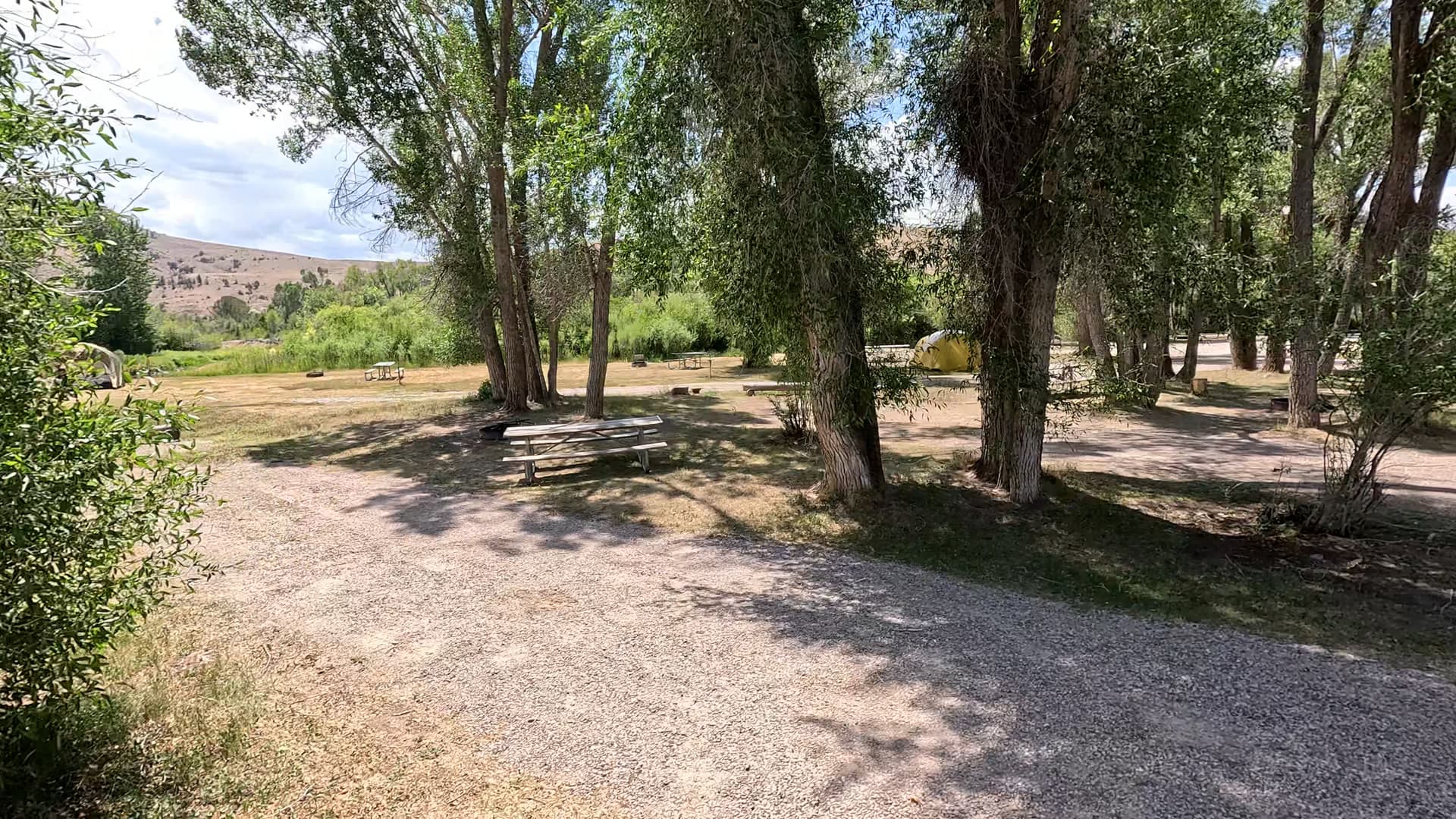 Site 13