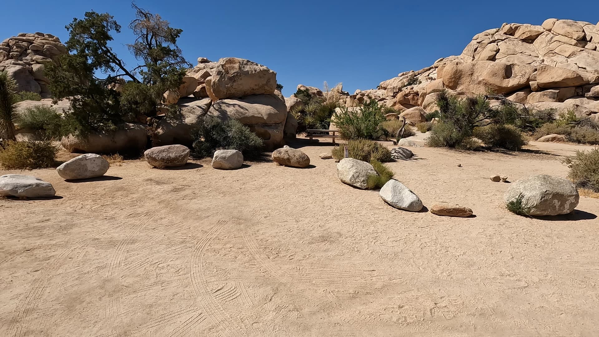 Site 8