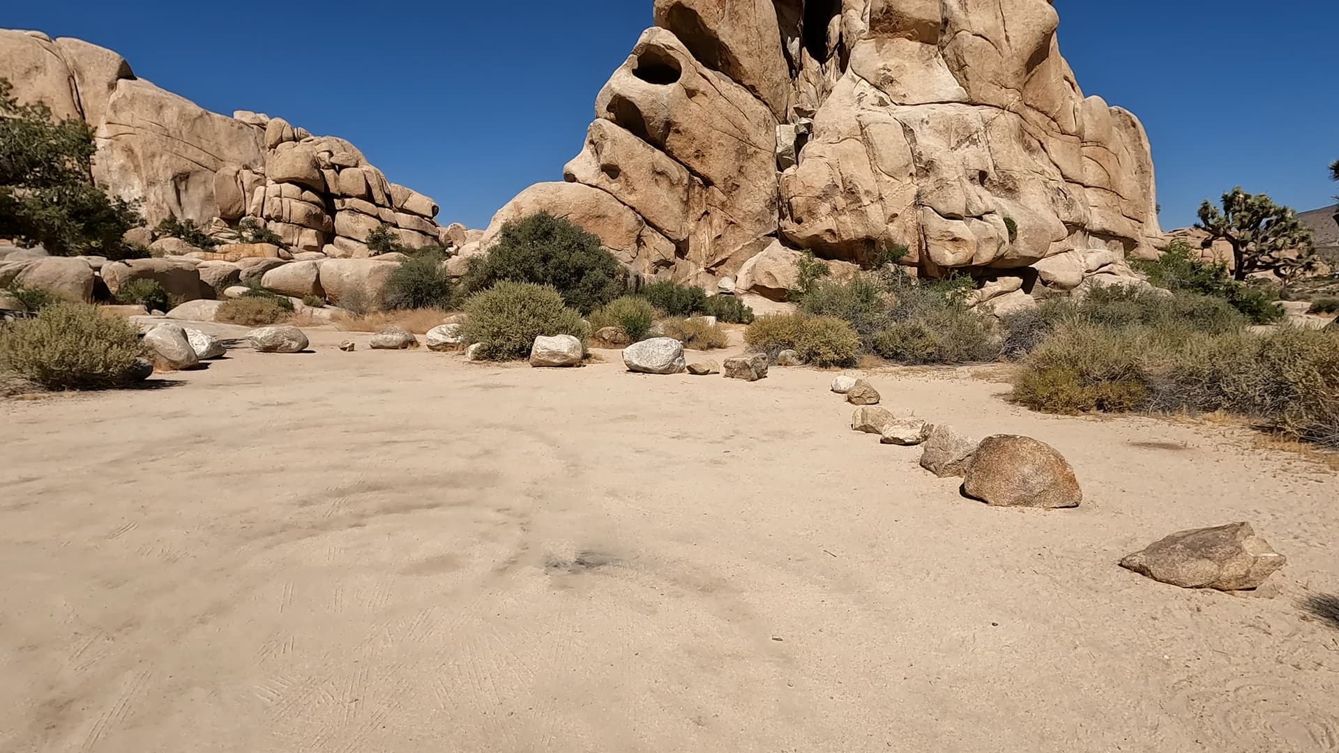 Site 5