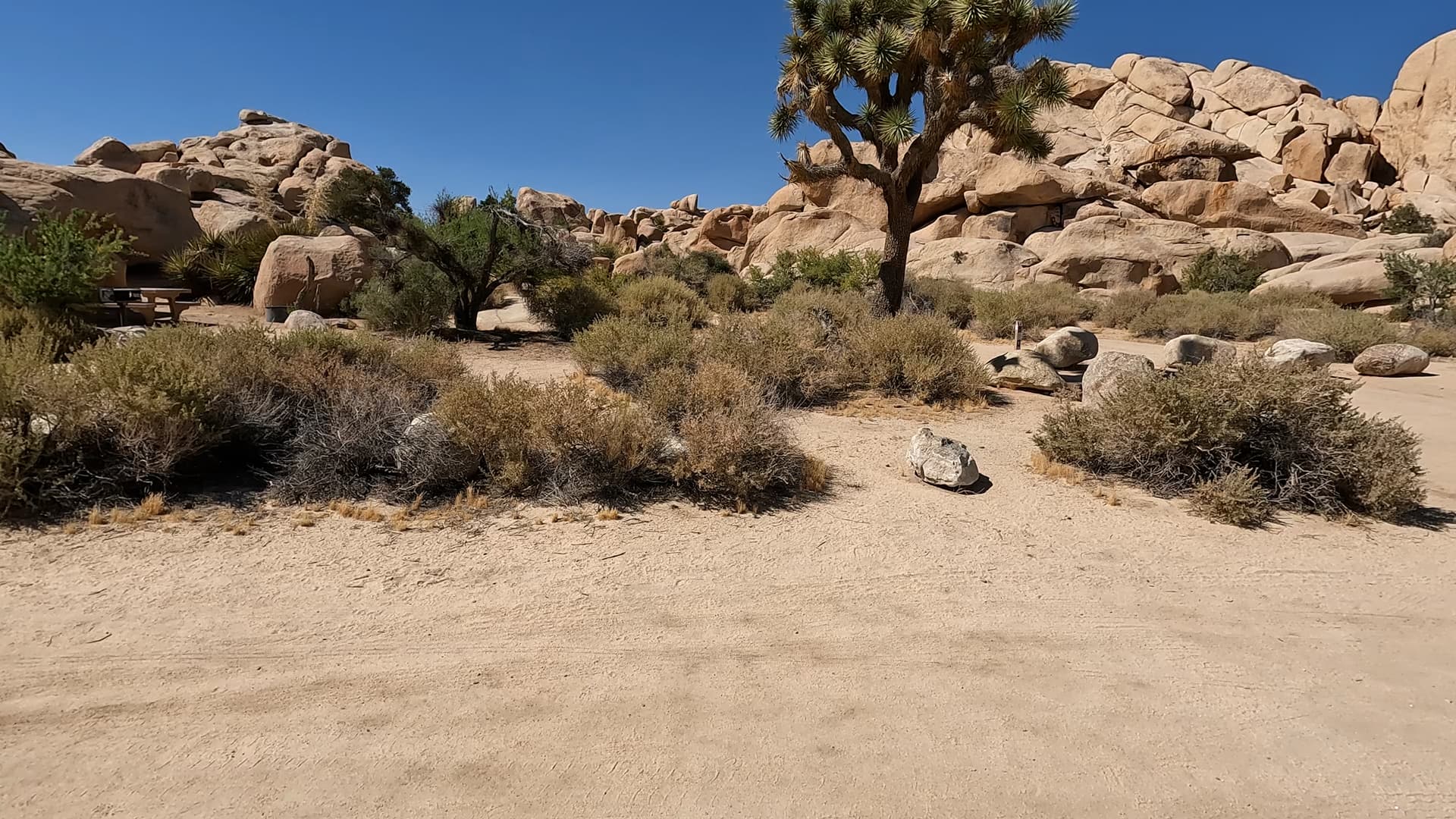 Site 7