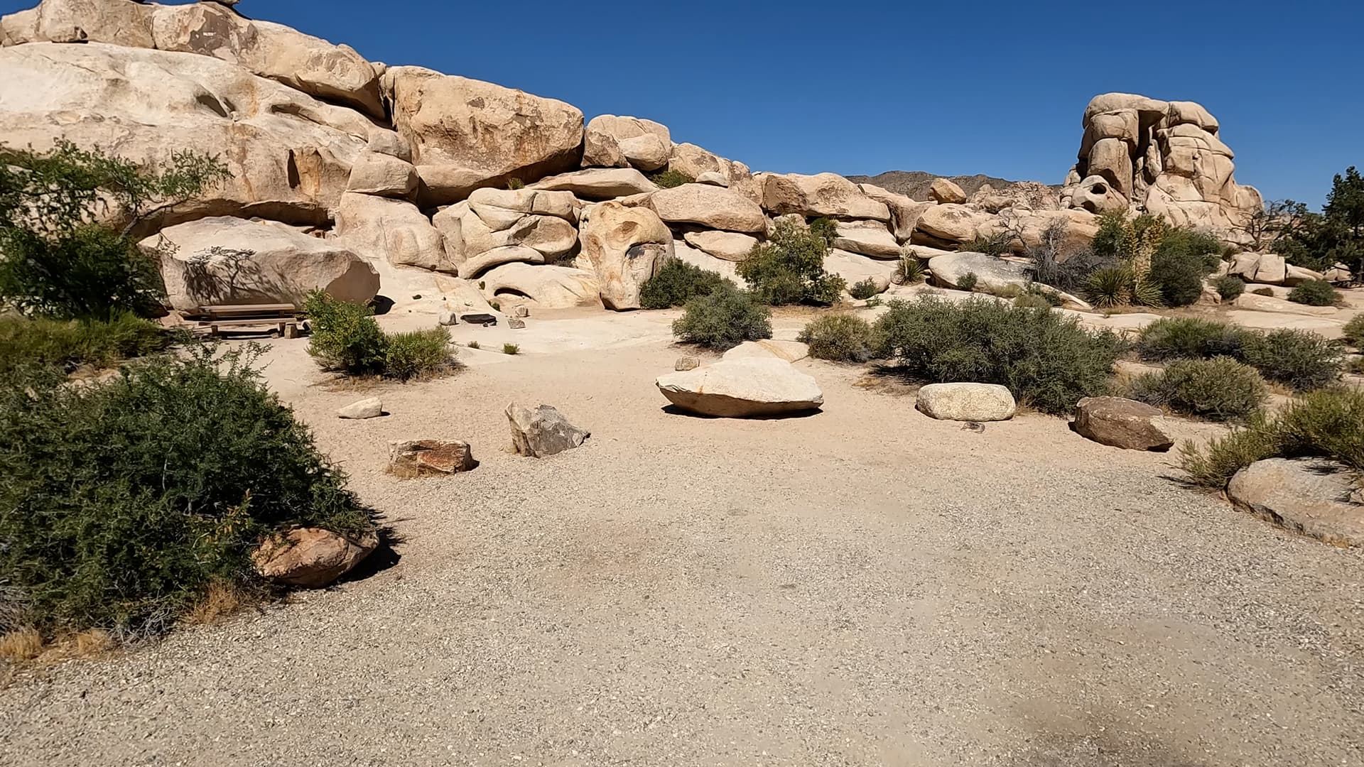 Site 10