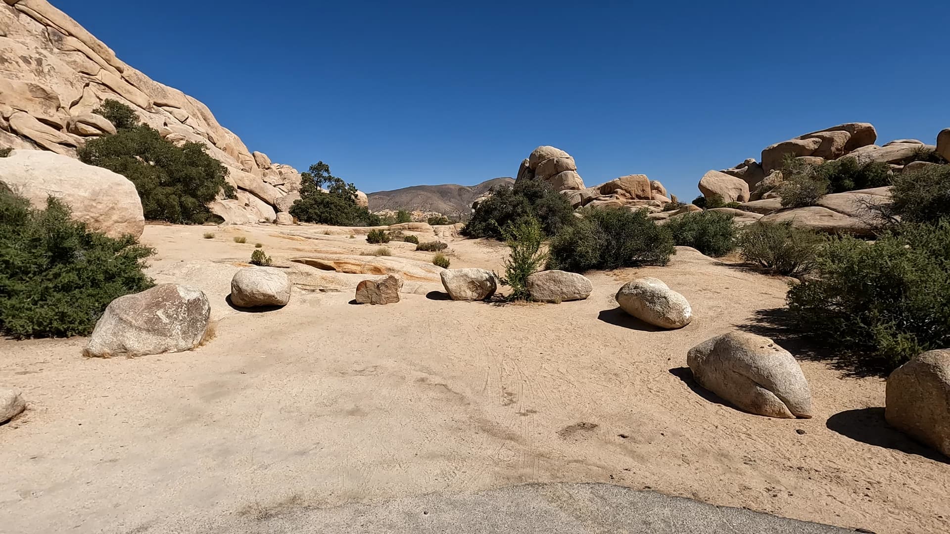 Site 13