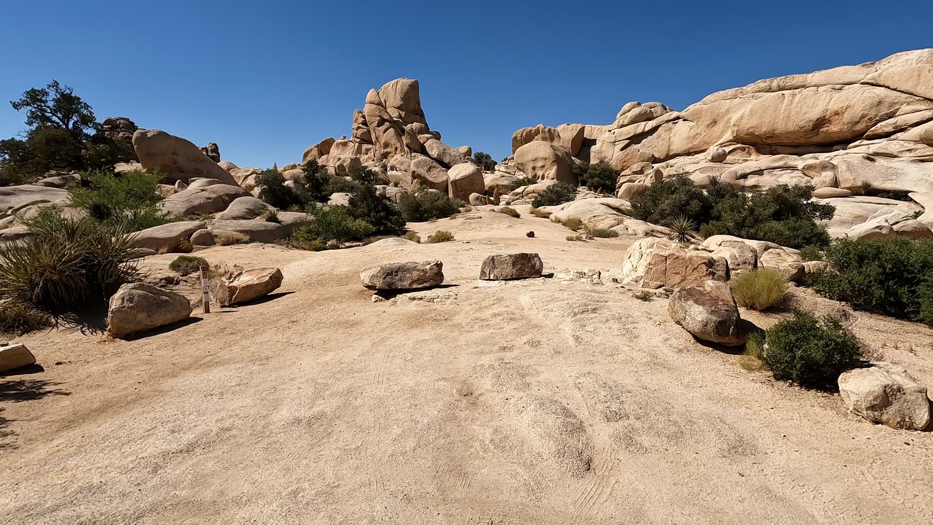 Site 16