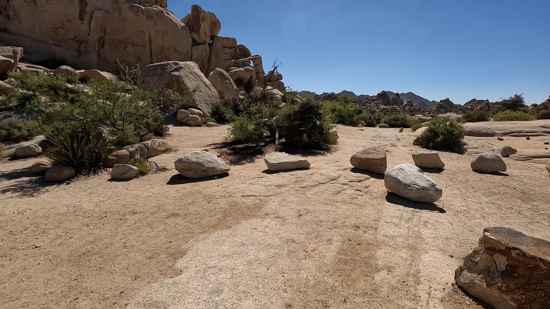 Site 25