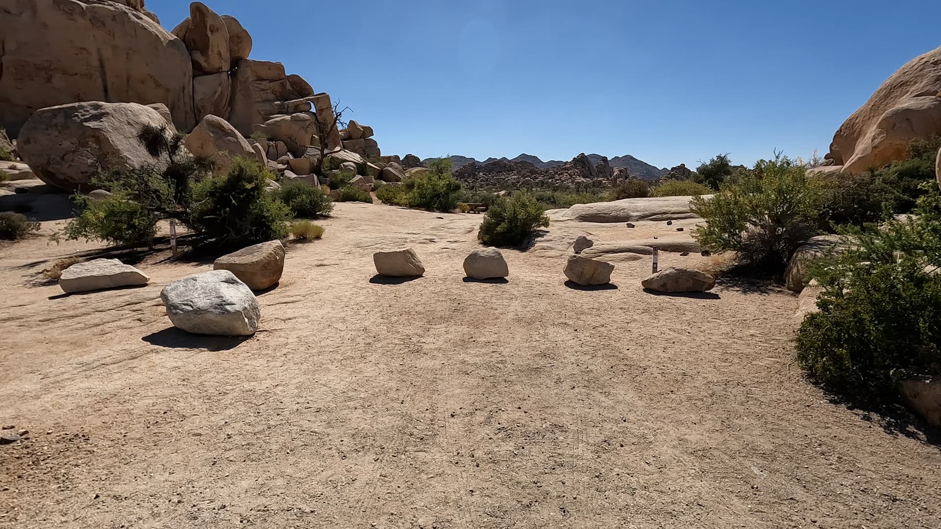 Site 24