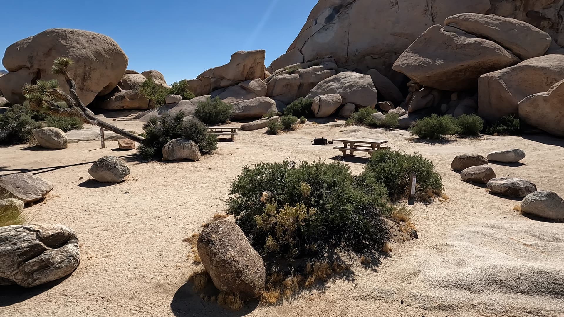 Site 29