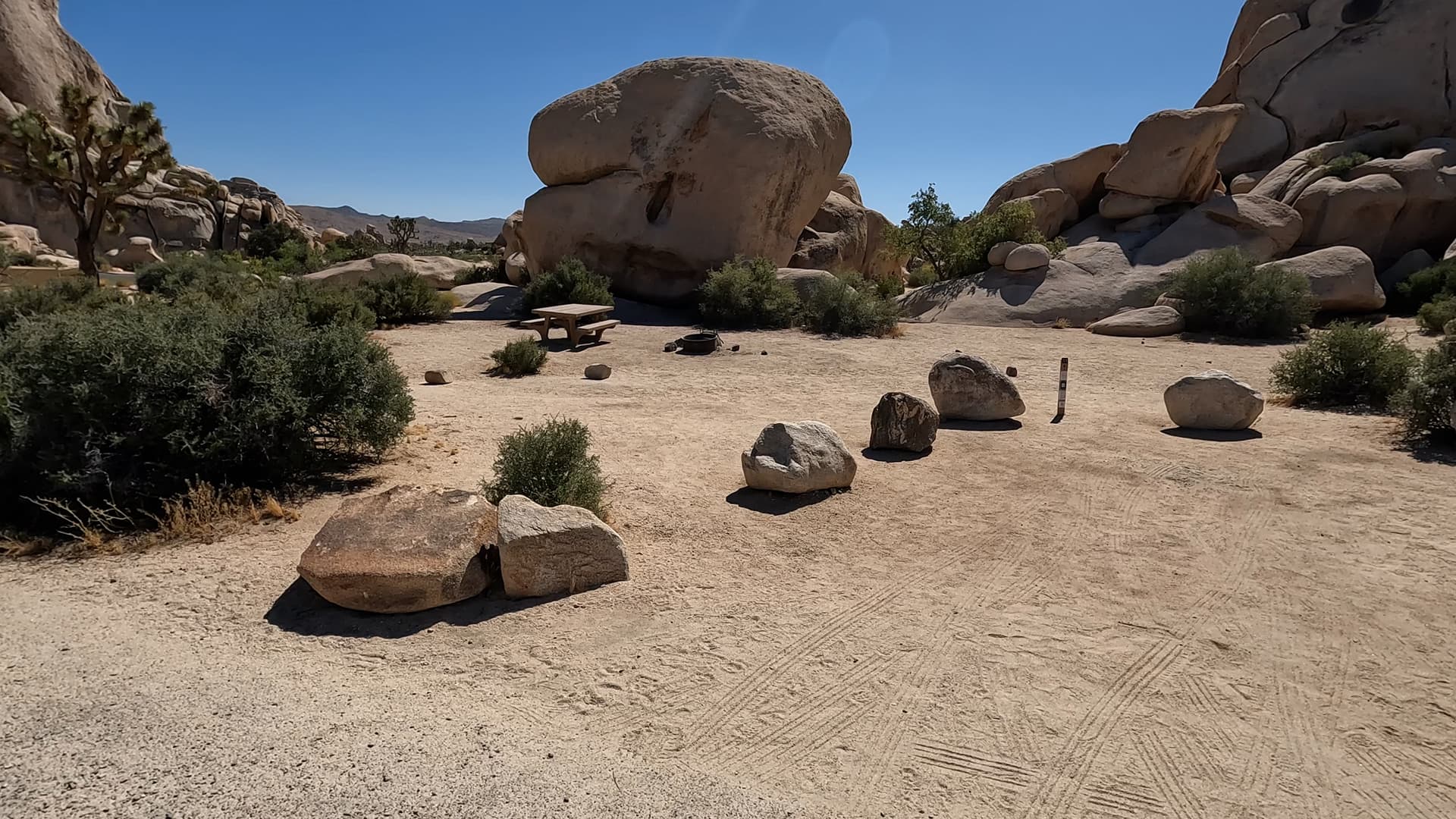 Site 31