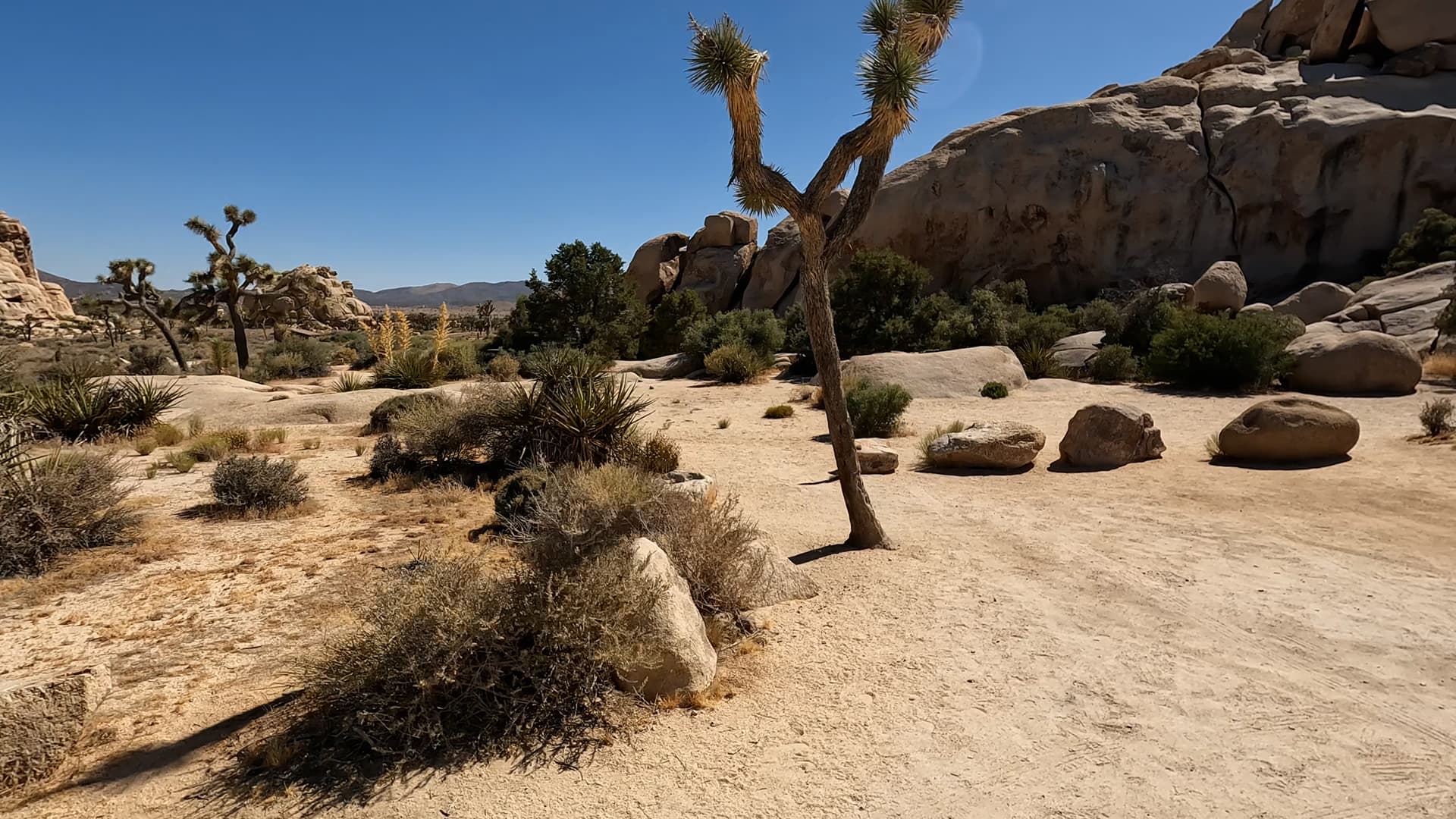 Site 37