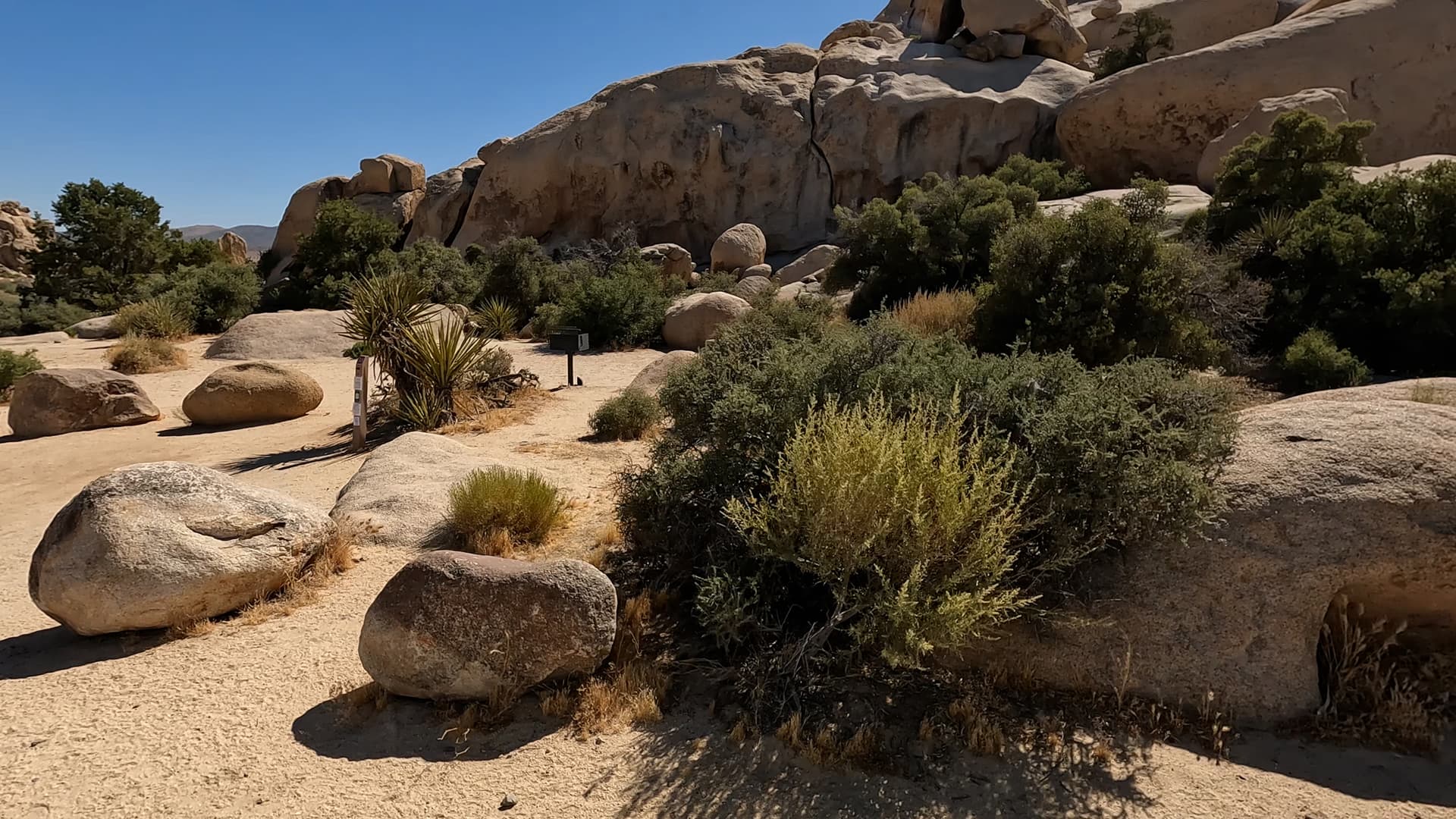 Site 38