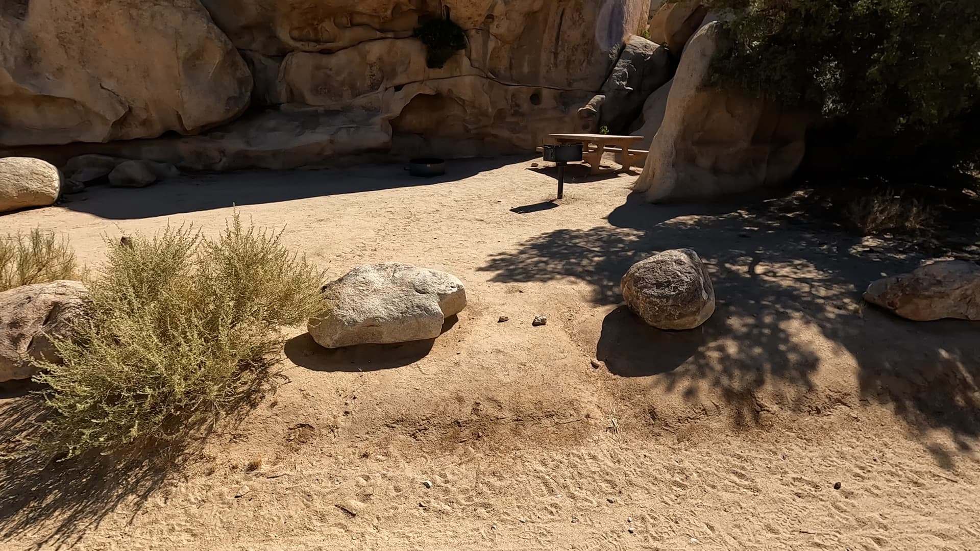 Site 43