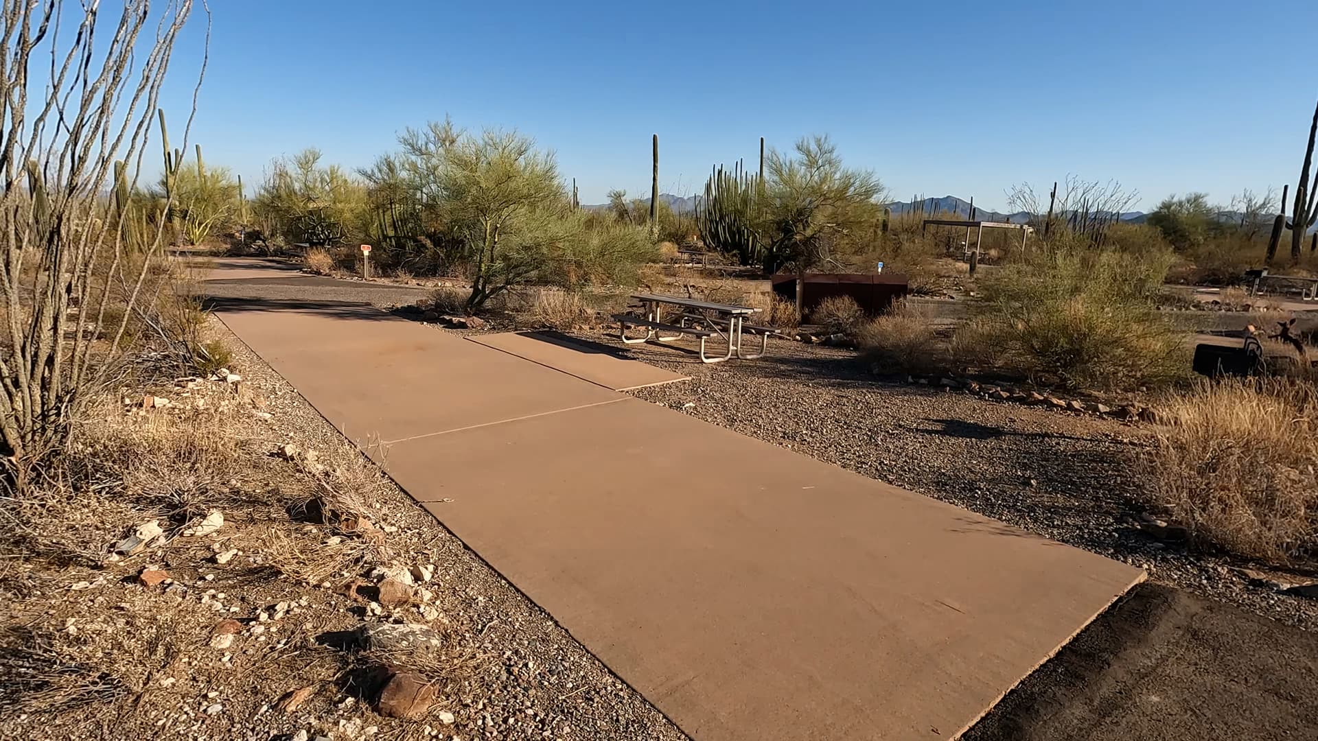 Site 6