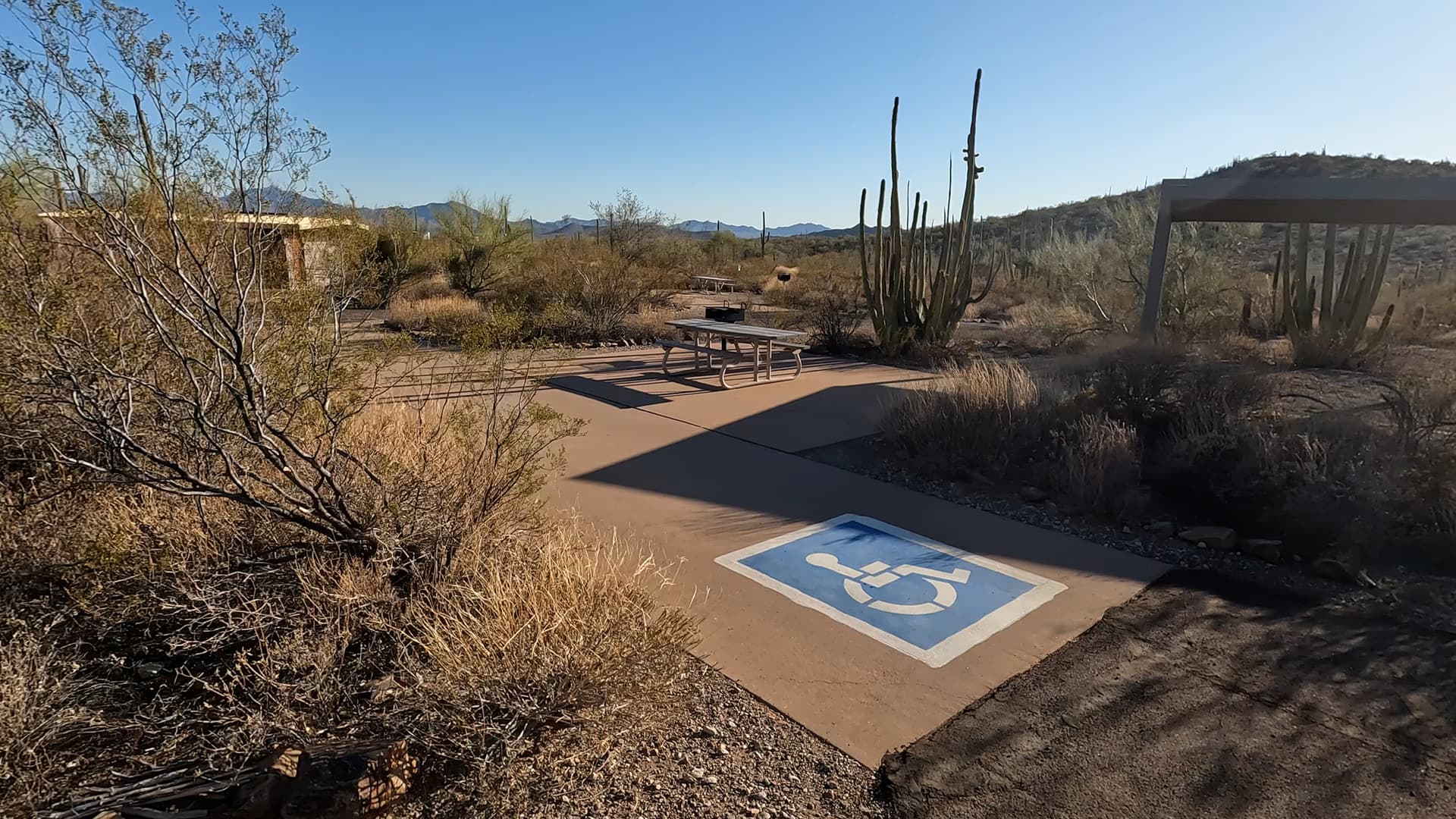 Site 7