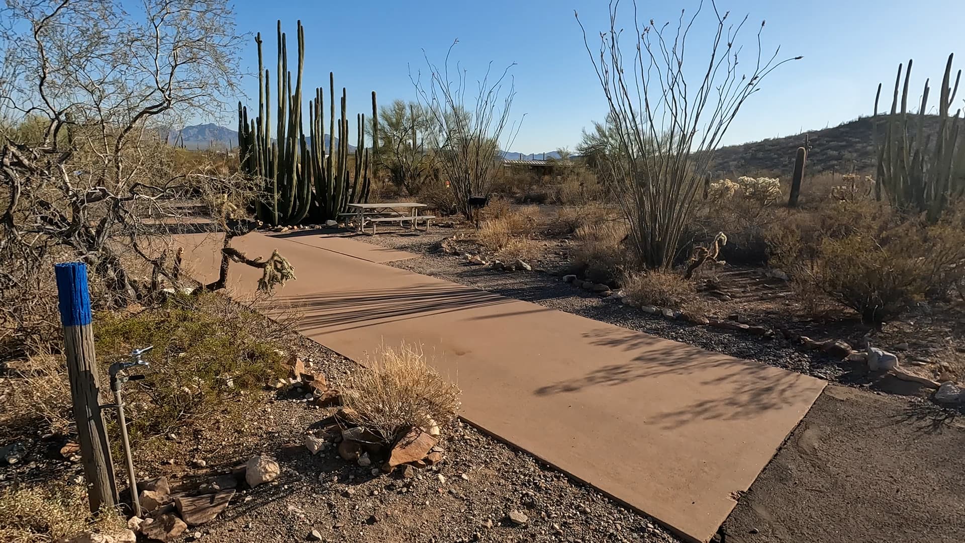 Site 2