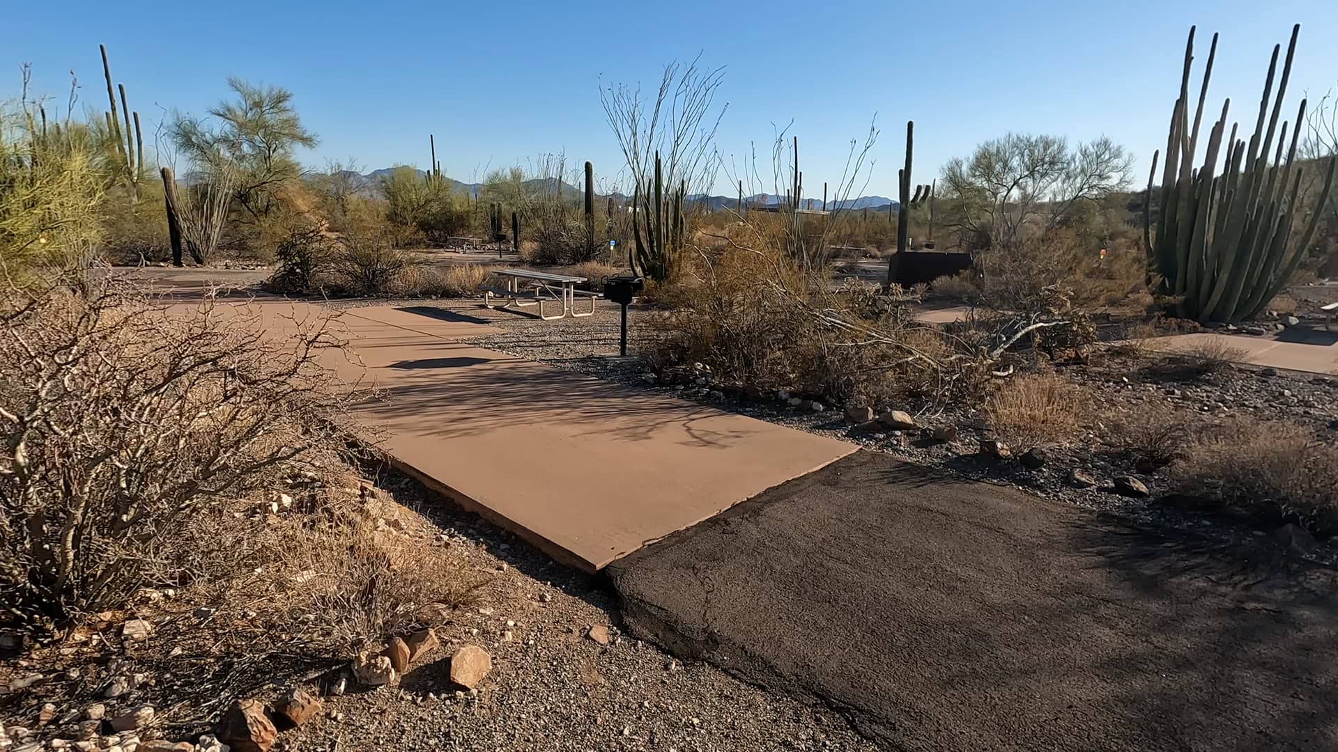 Site 3