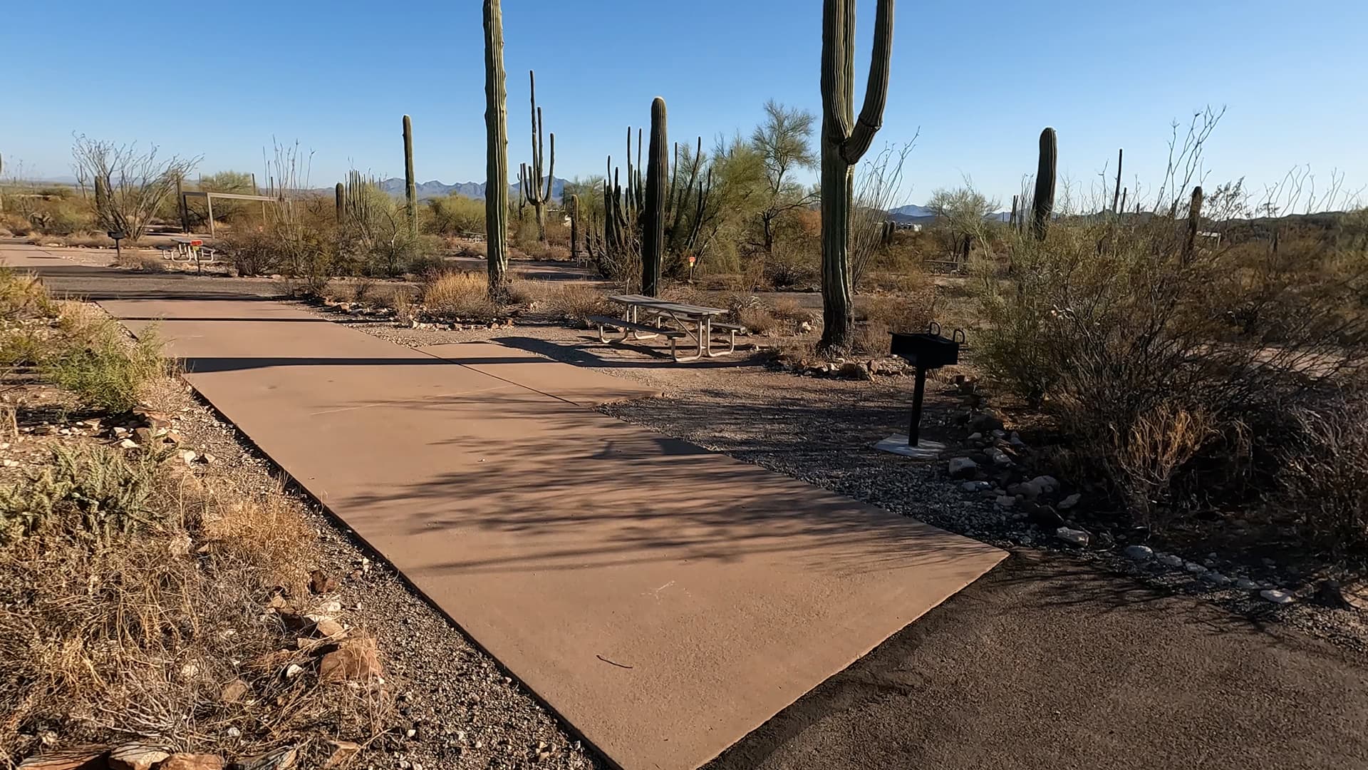 Site 4
