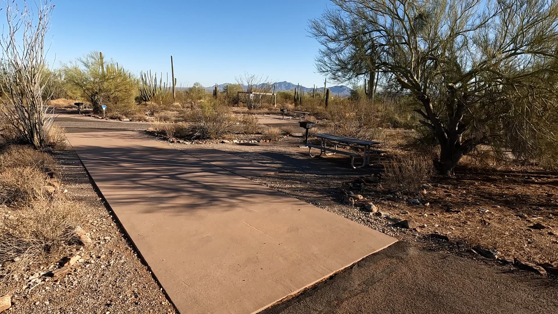 Site 5
