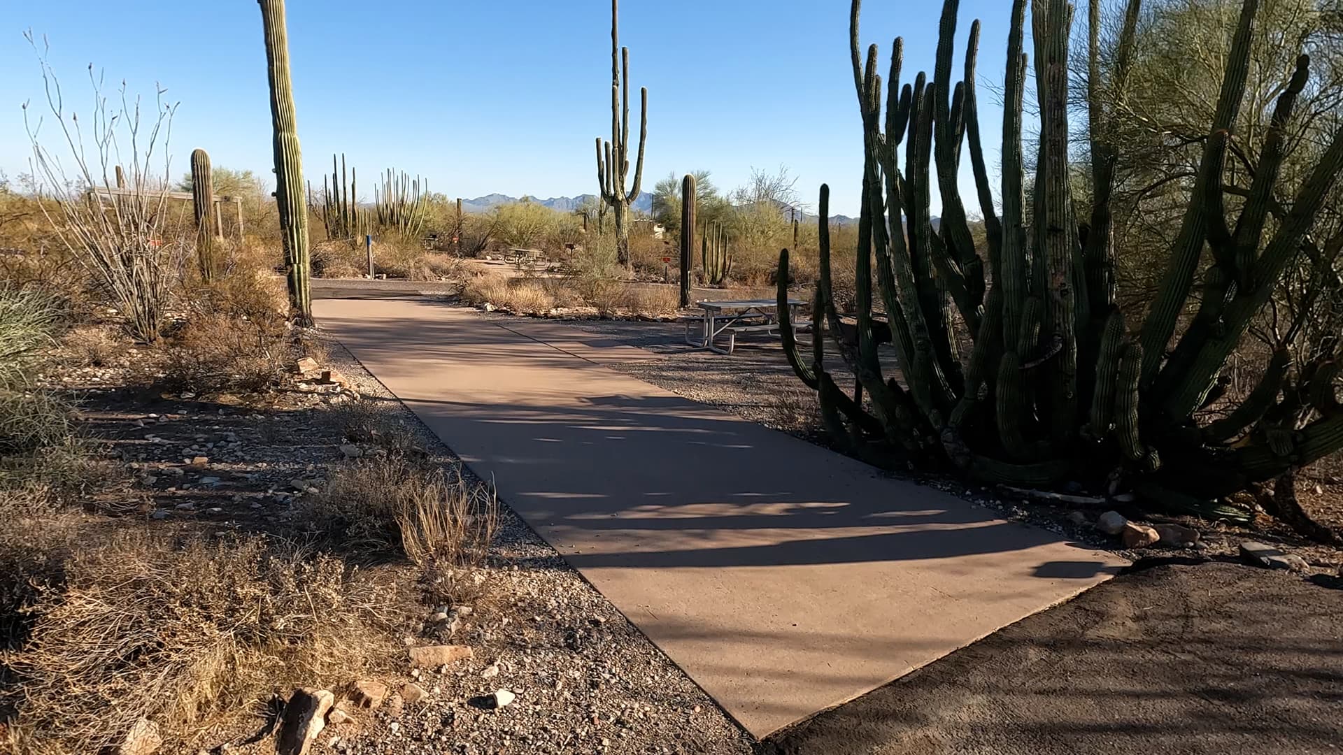 Site 11