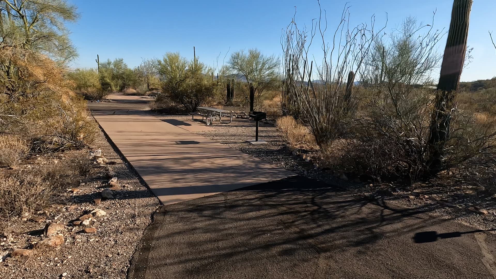 Site 10