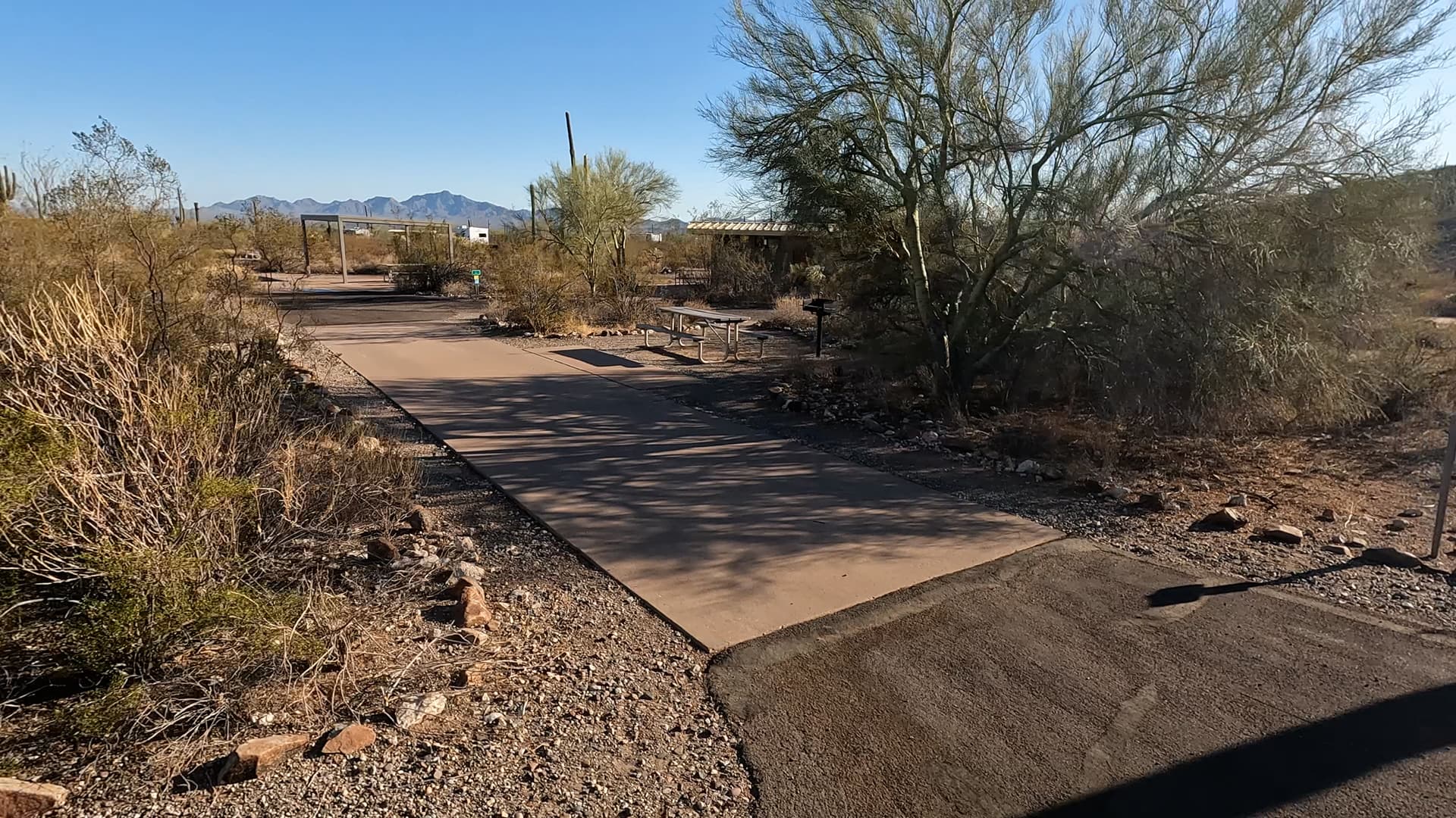 Site 8