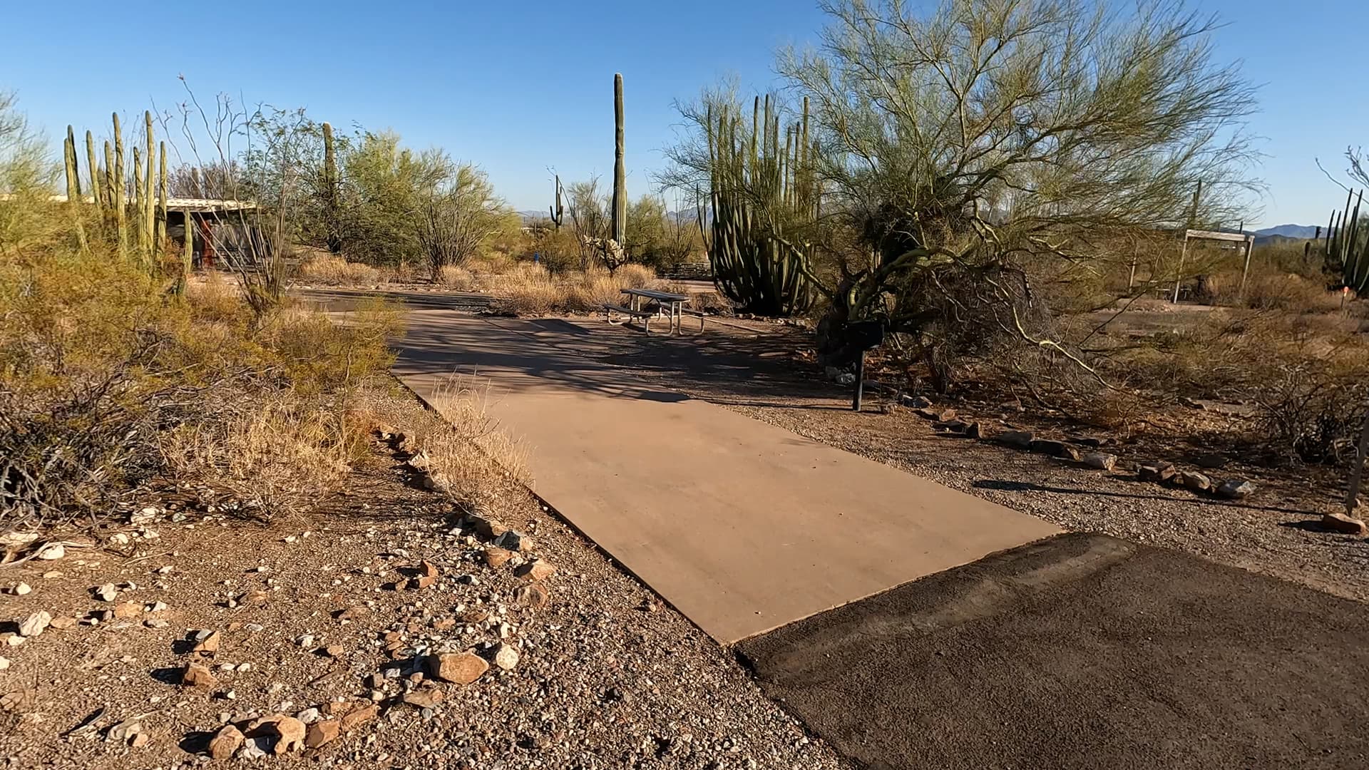 Site 13