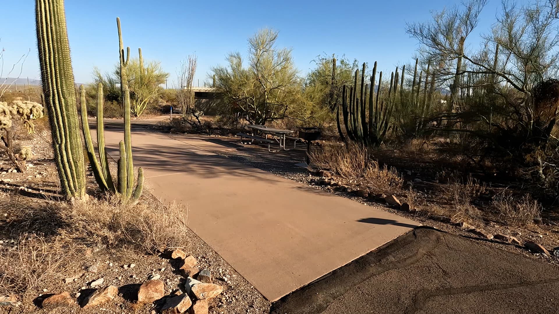 Site 14