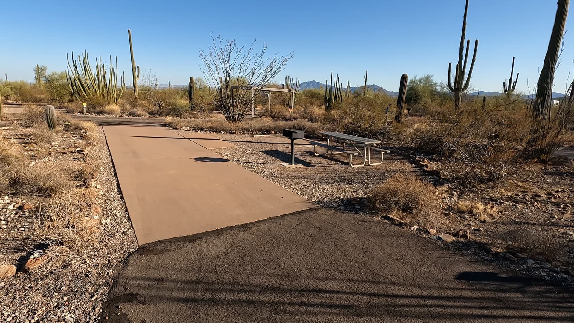 Site 12