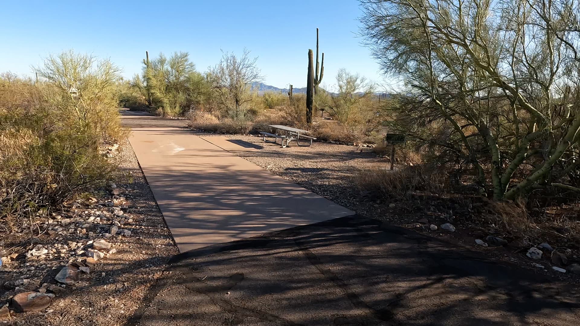 Site 19