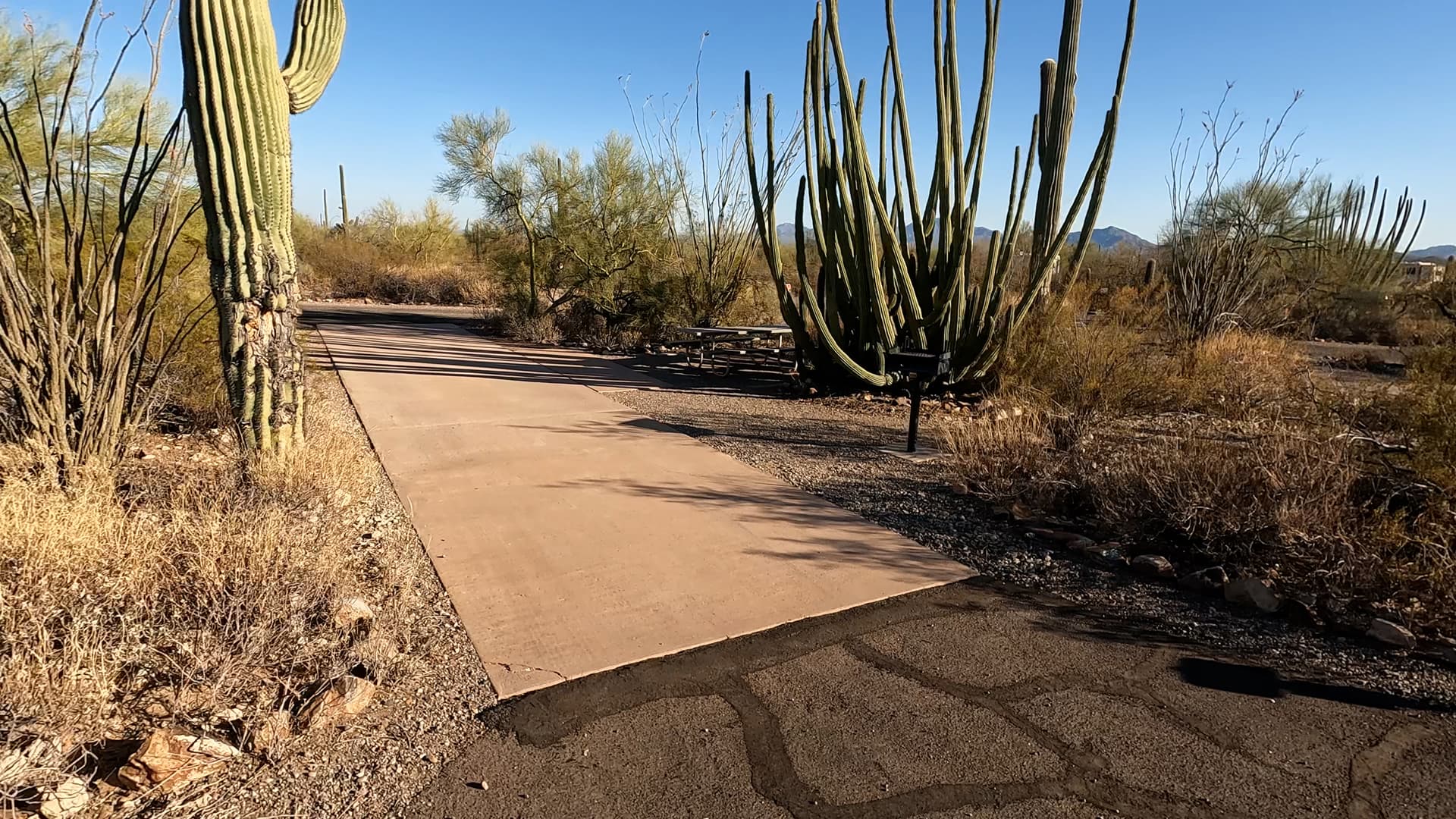 Site 22