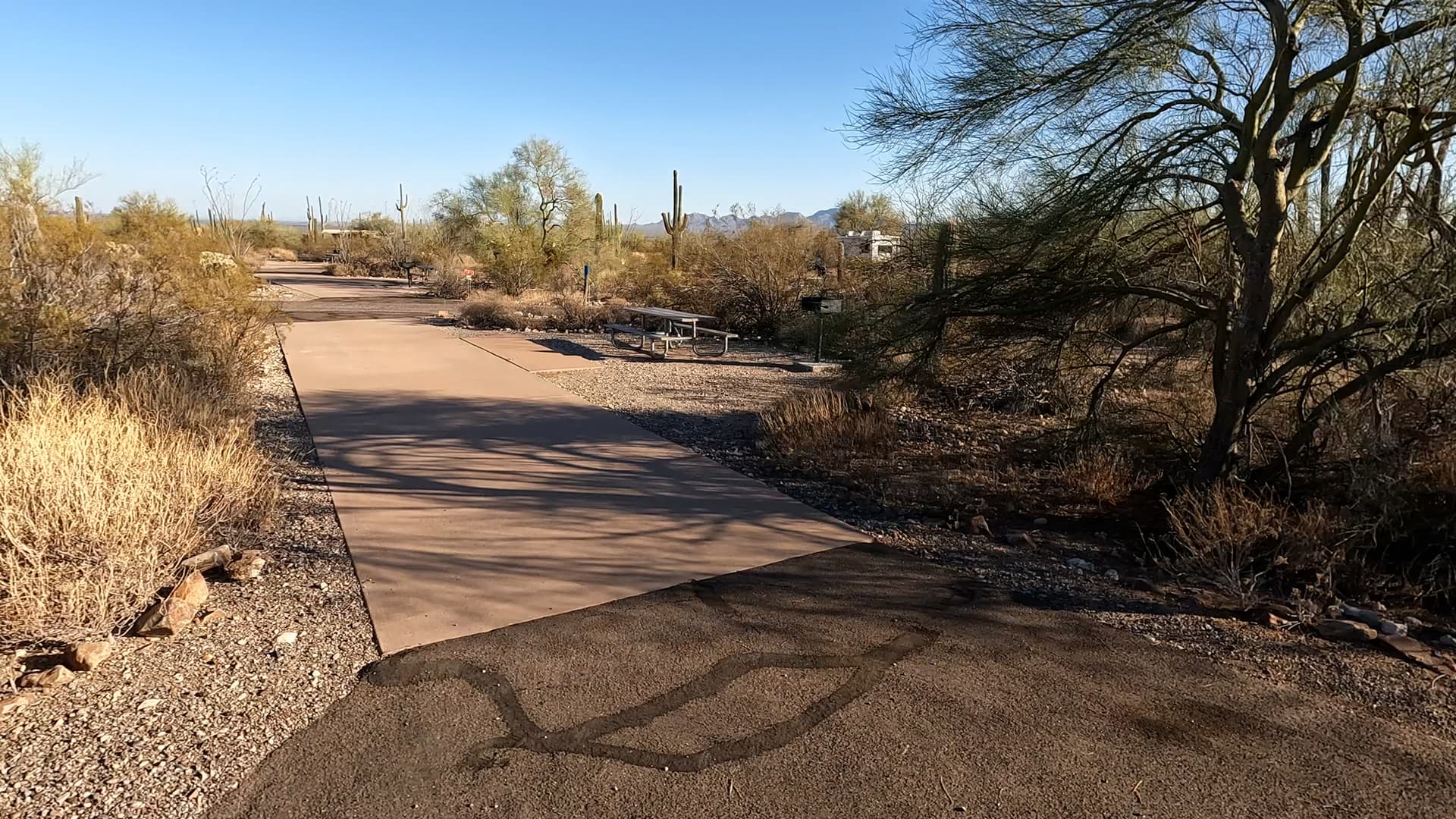 Site 31
