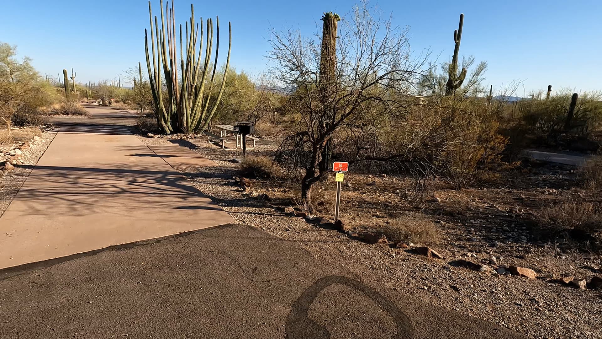 Site 30