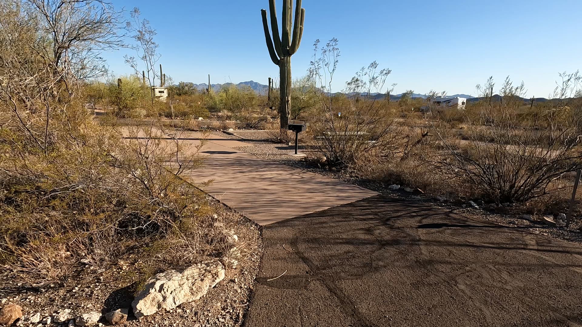Site 28