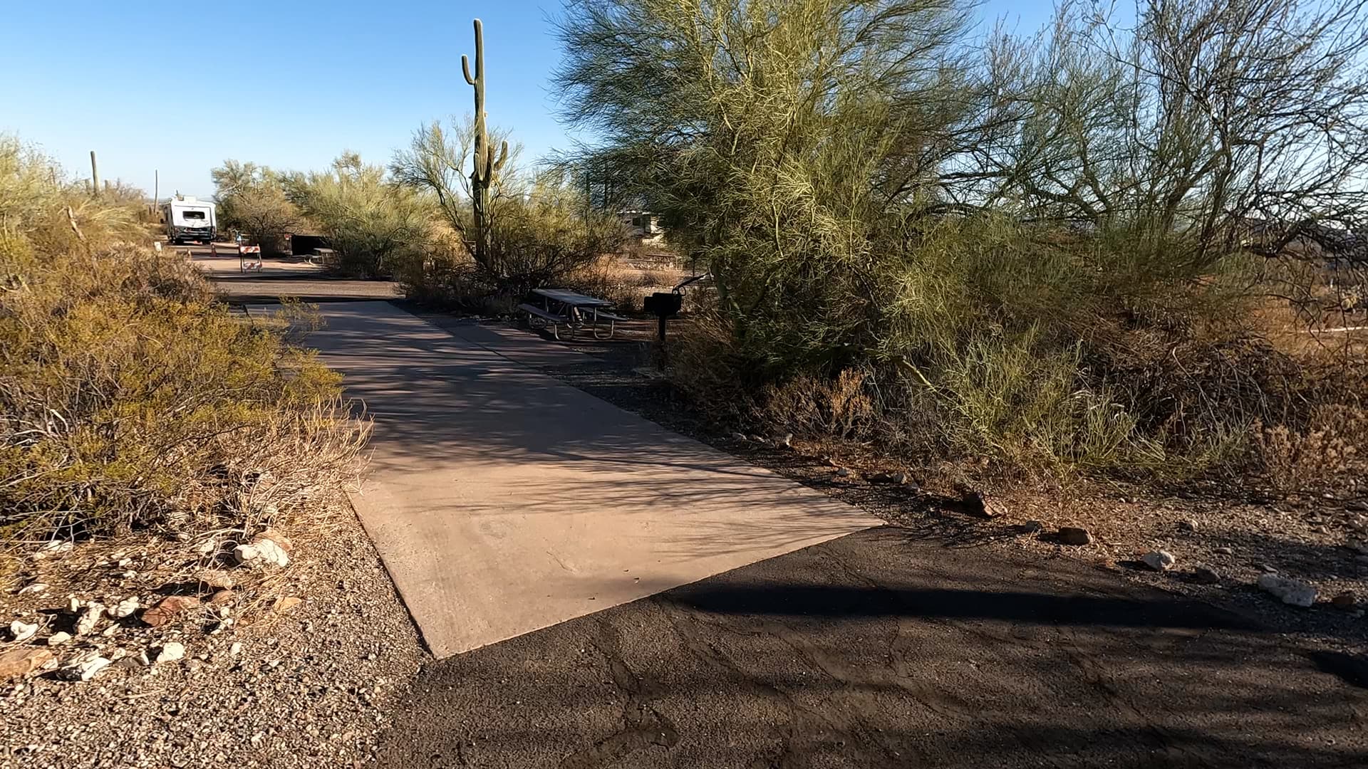 Site 29