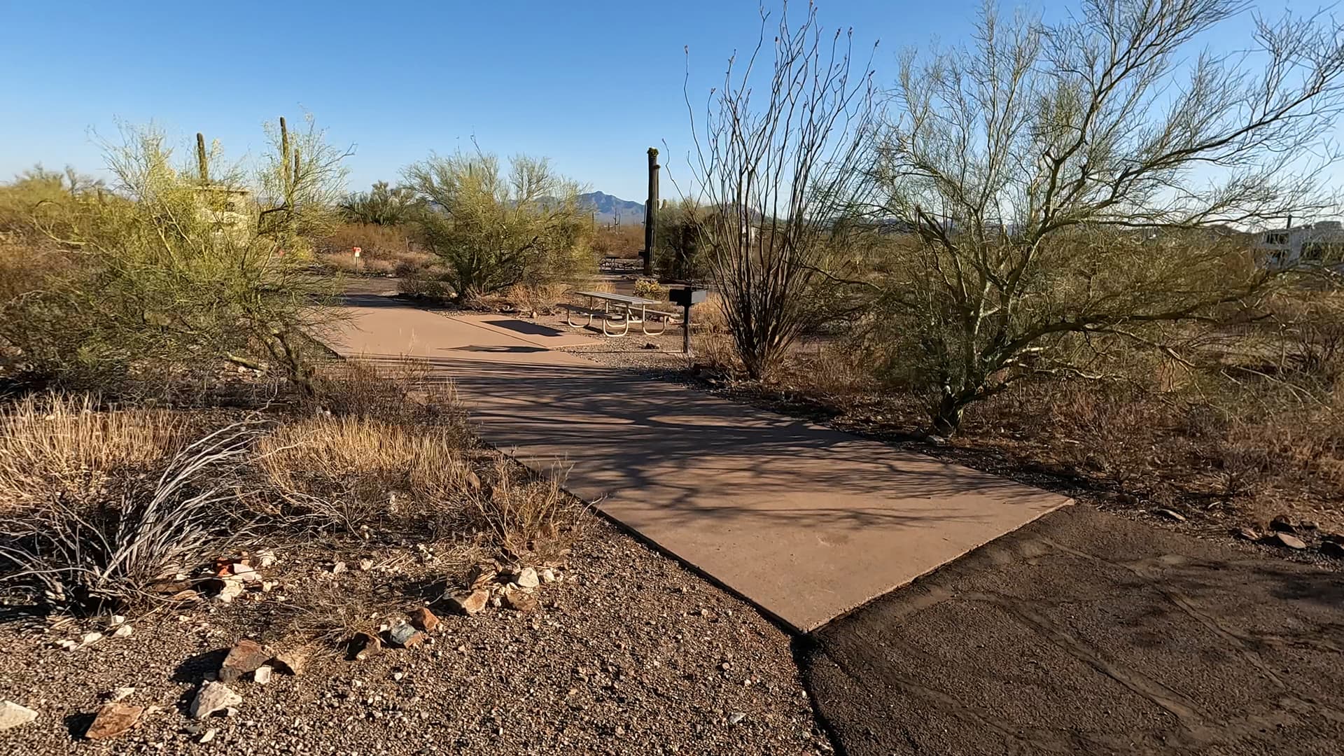 Site 39