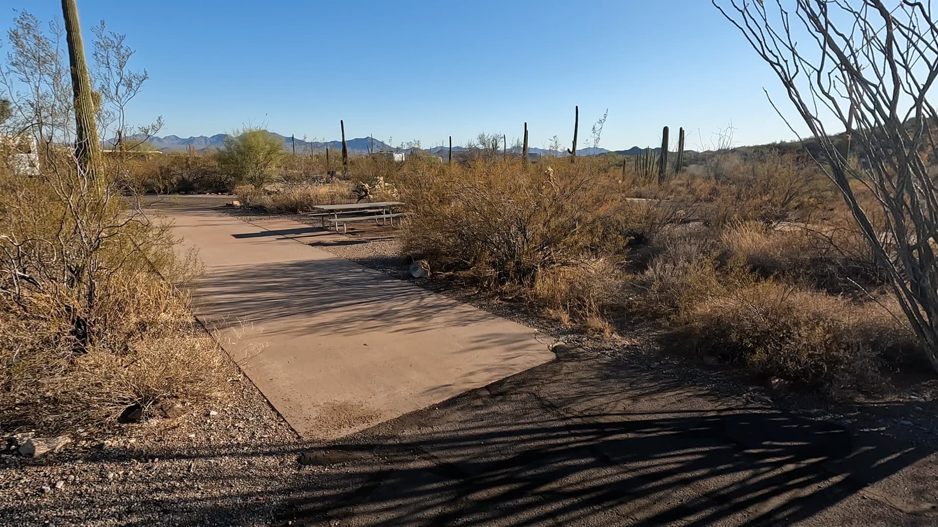 Site 36