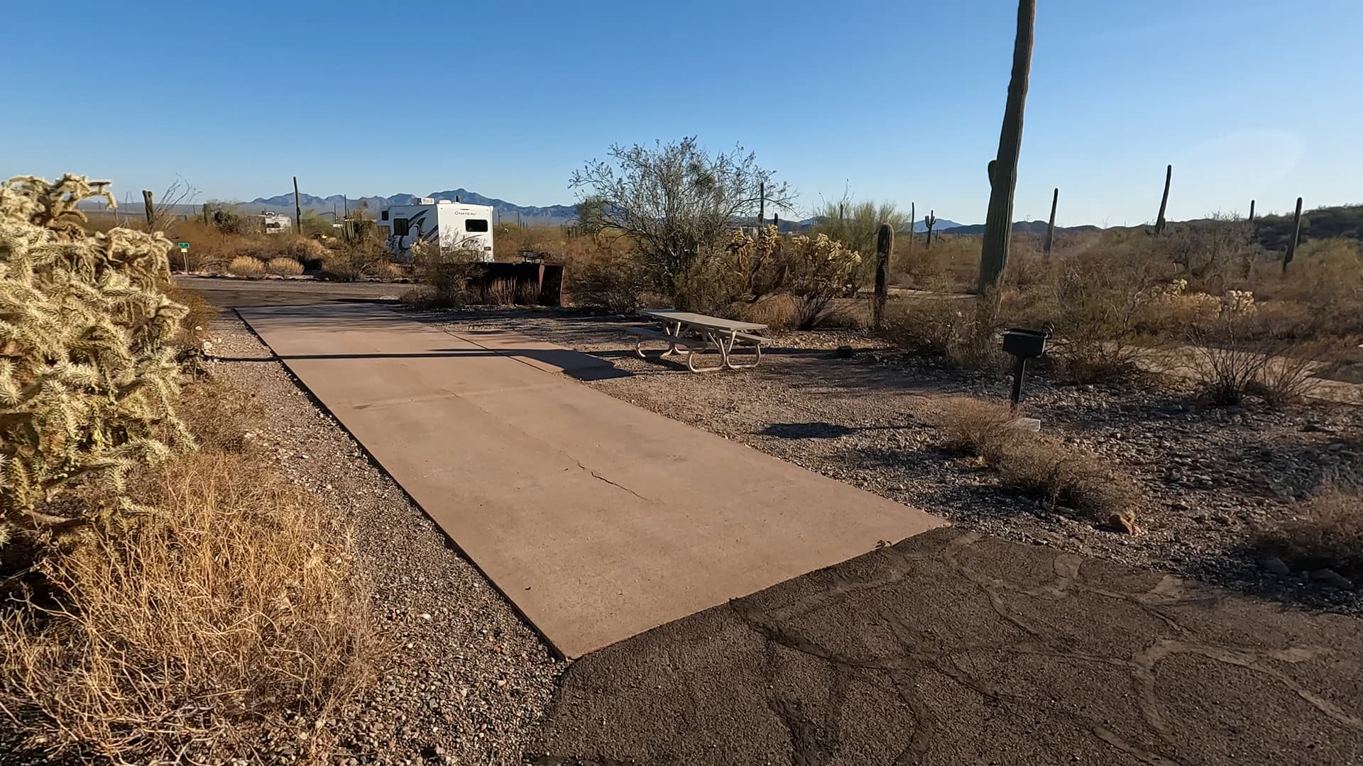 Site 37