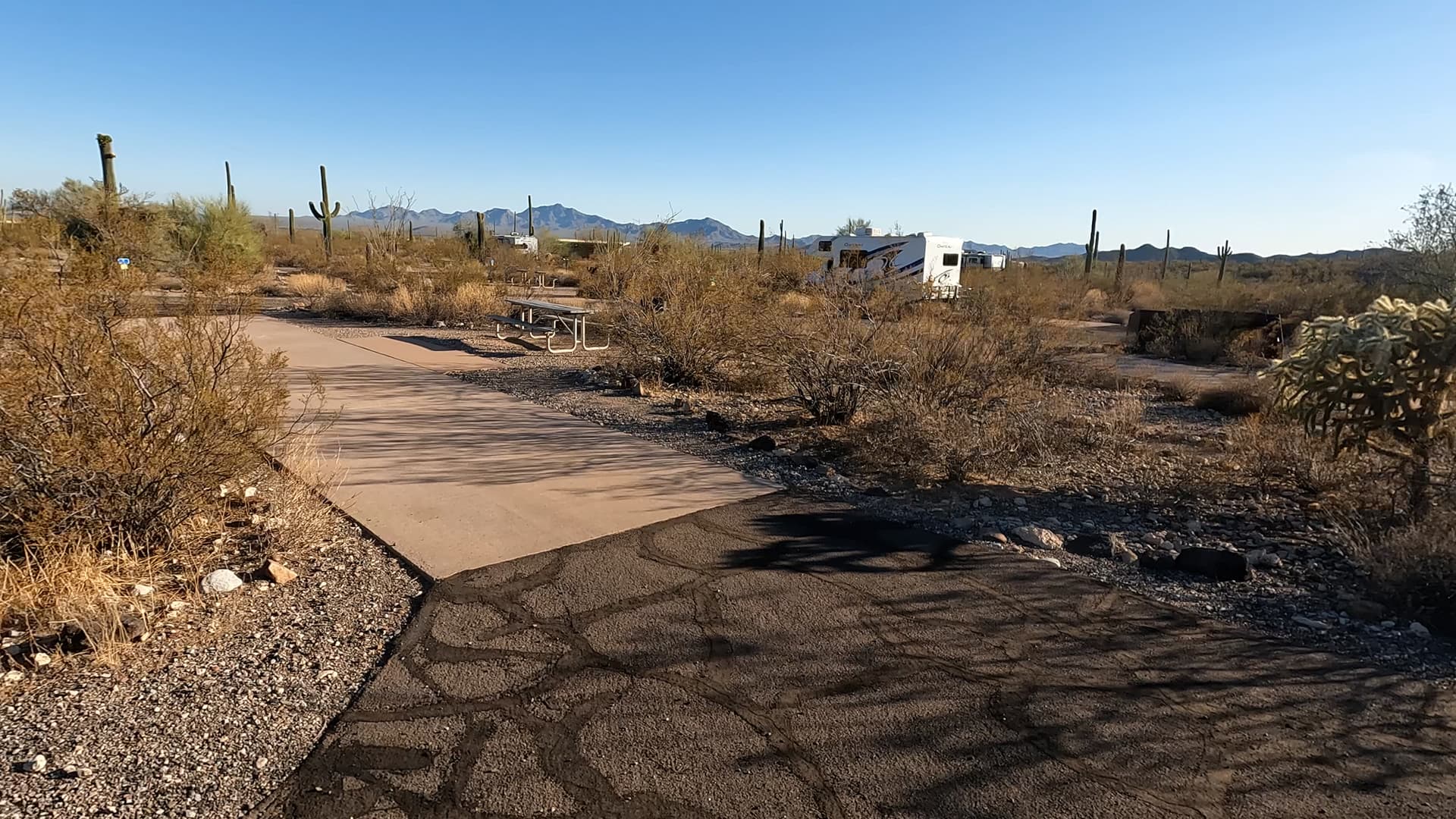 Site 38