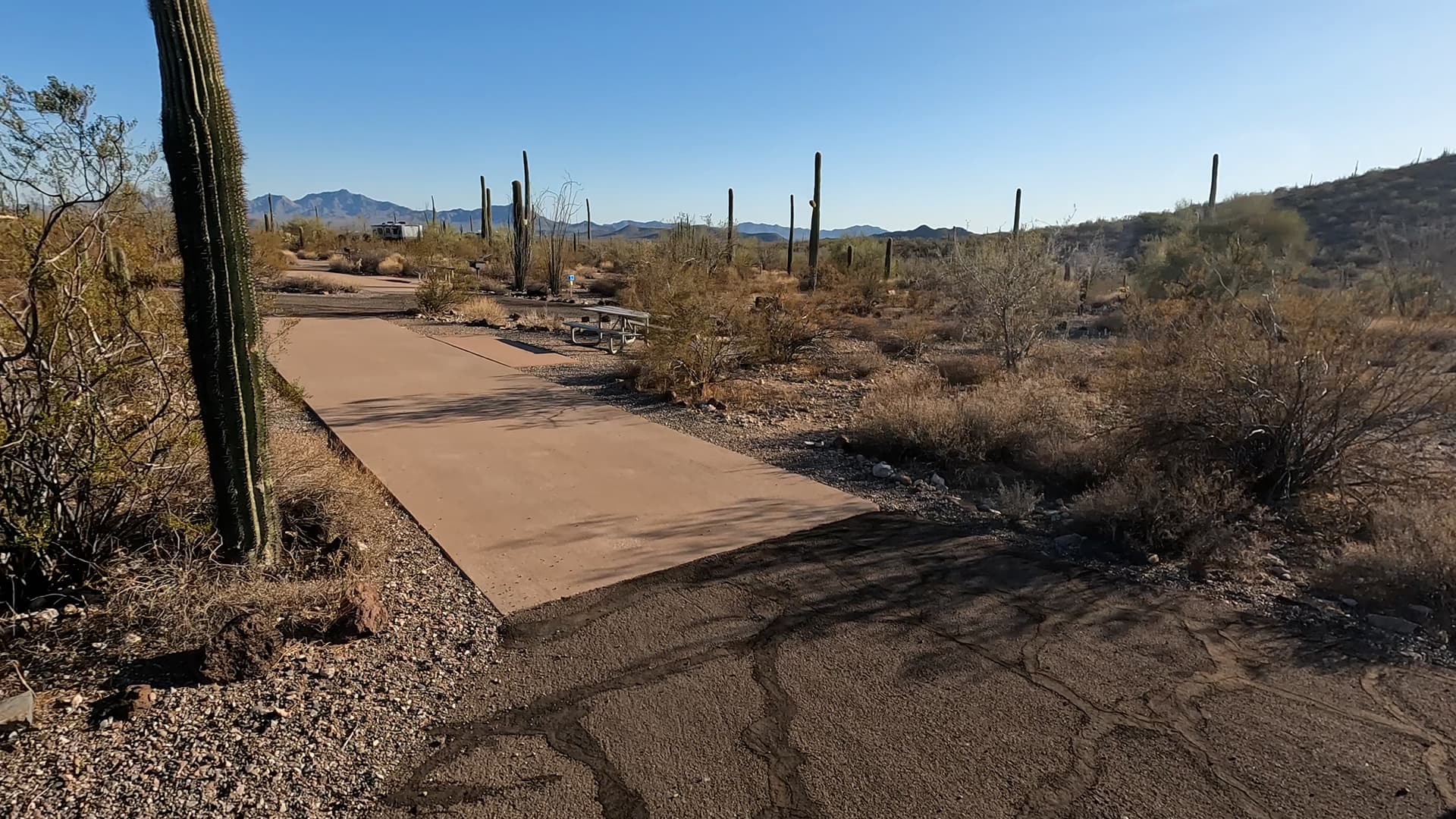 Site 35